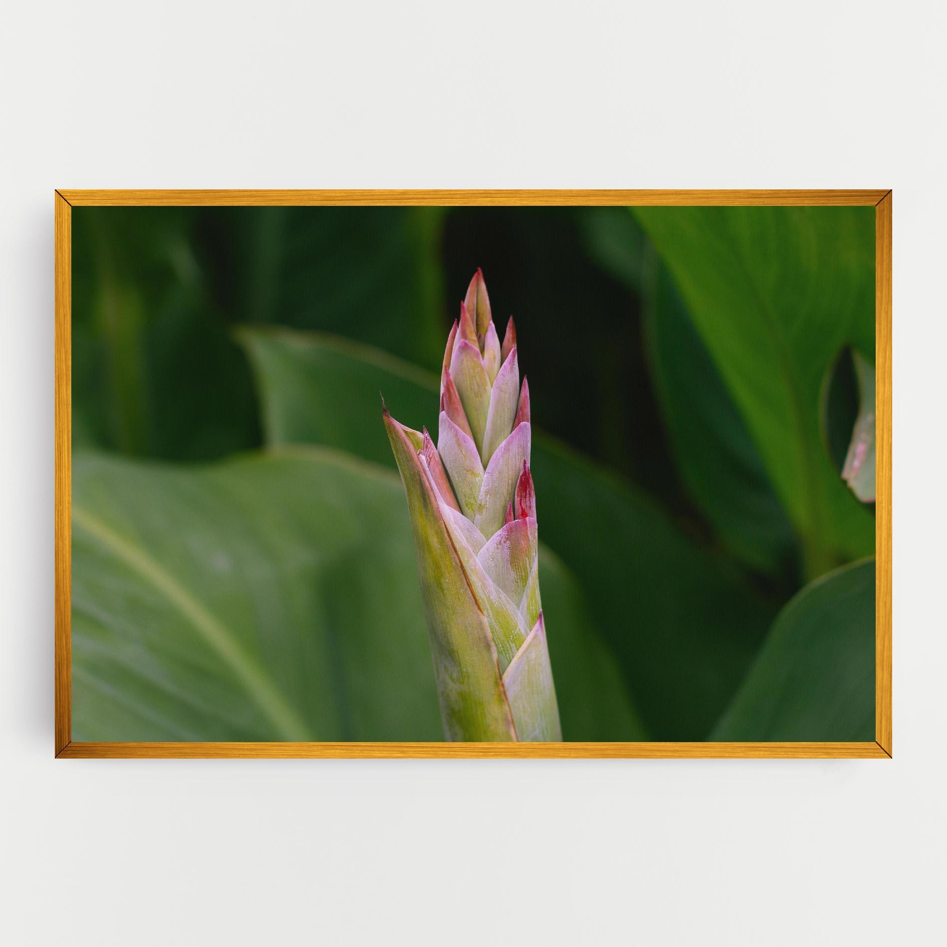 Tablou Canvas Light Pink Exotic mockup 0