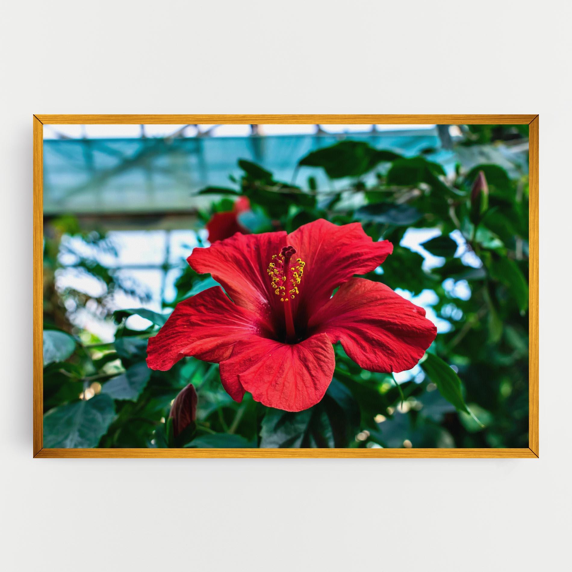 Tablou Canvas Red Exotic Plant mockup 0
