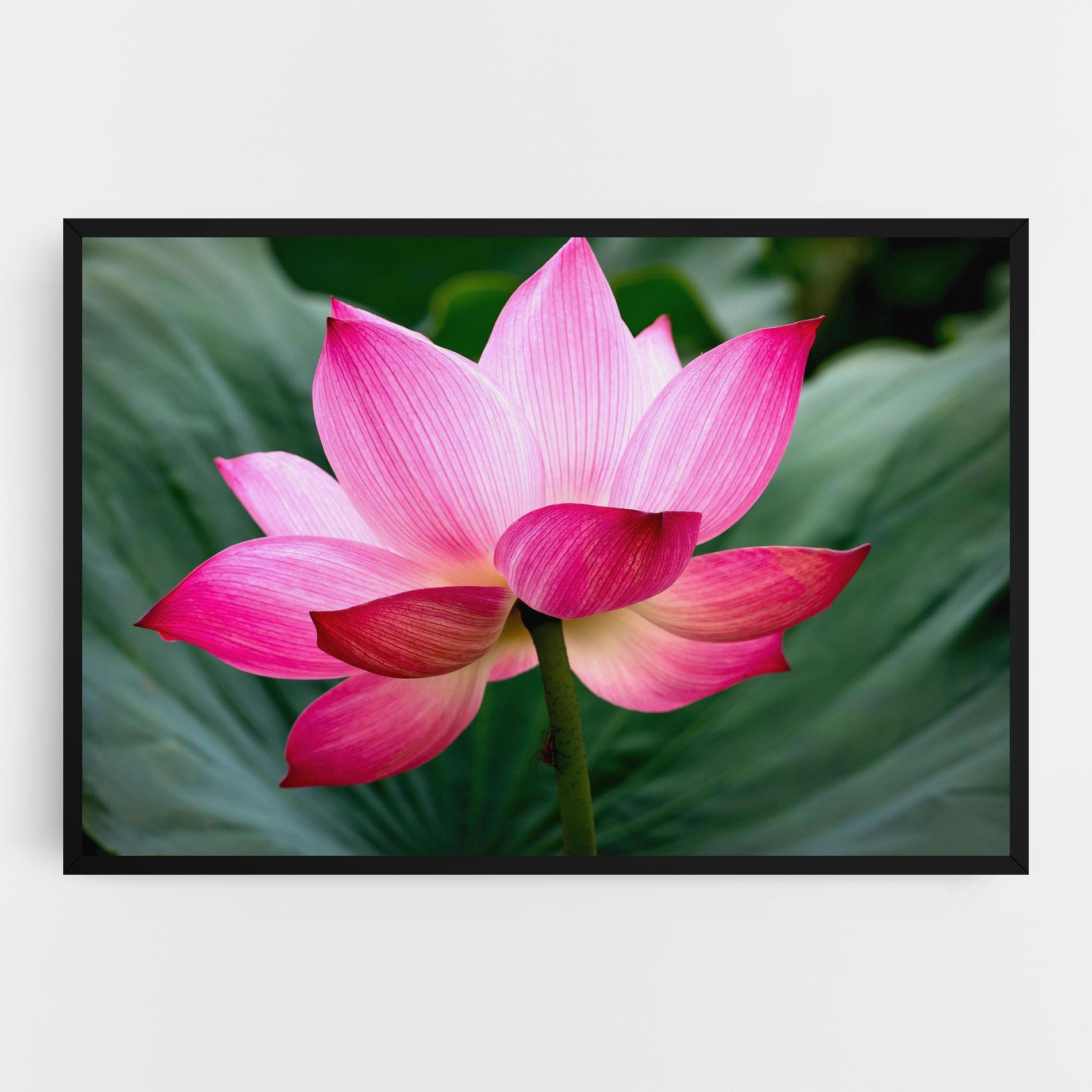 Tablou Canvas Beautiful Pink Exotic mockup 0