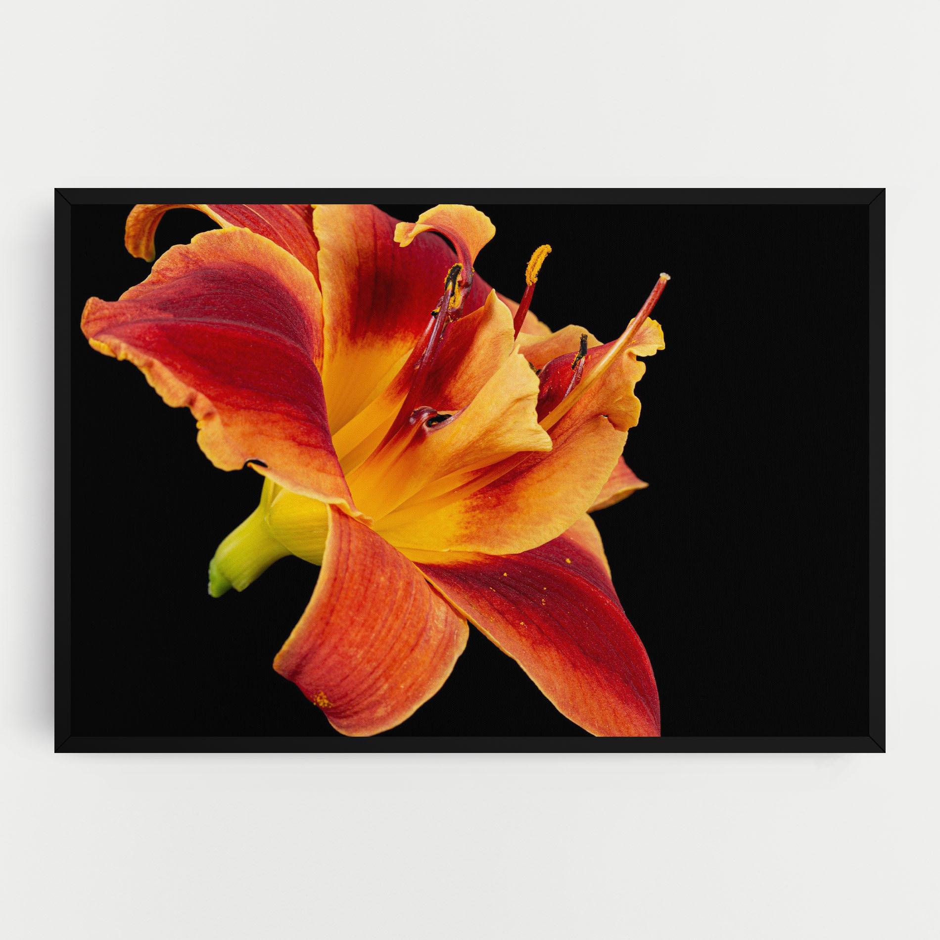 Tablou Canvas Exotic Orange Red mockup 0