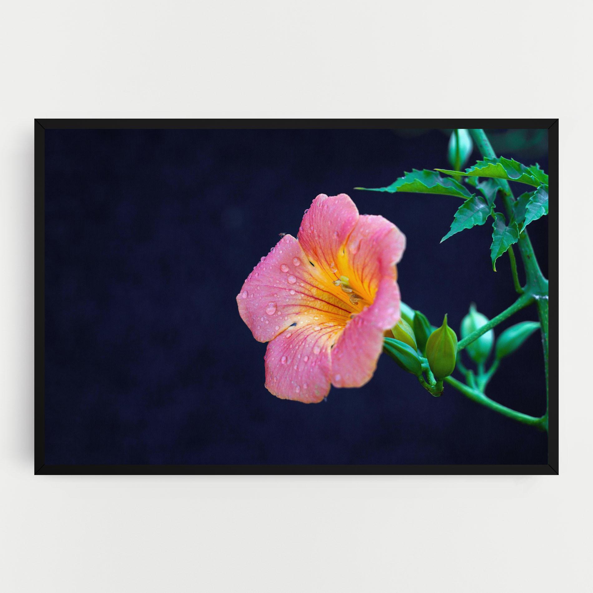 Tablou Canvas Exotic Pink Plant mockup 0
