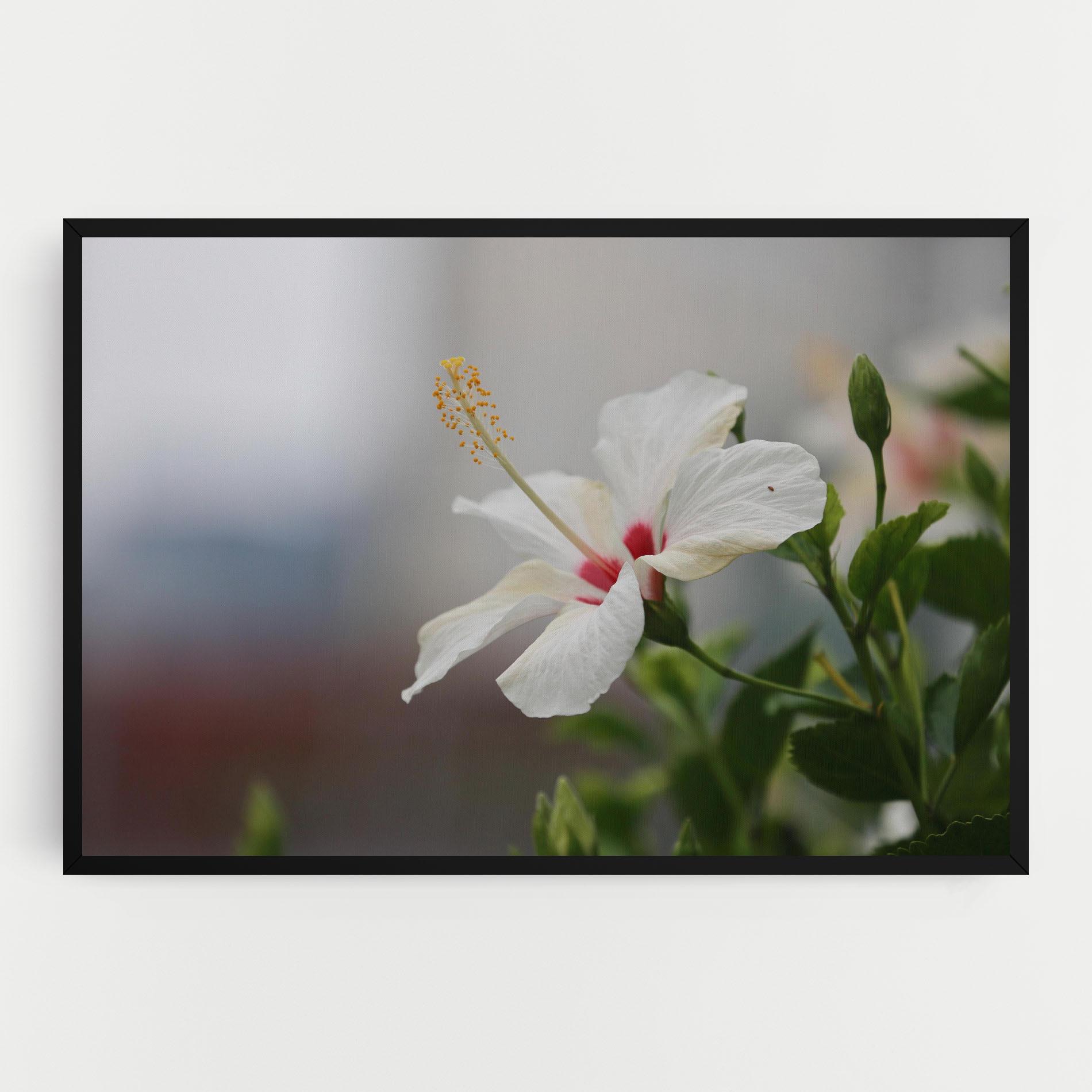 Tablou Canvas Exotic White Flower mockup 0