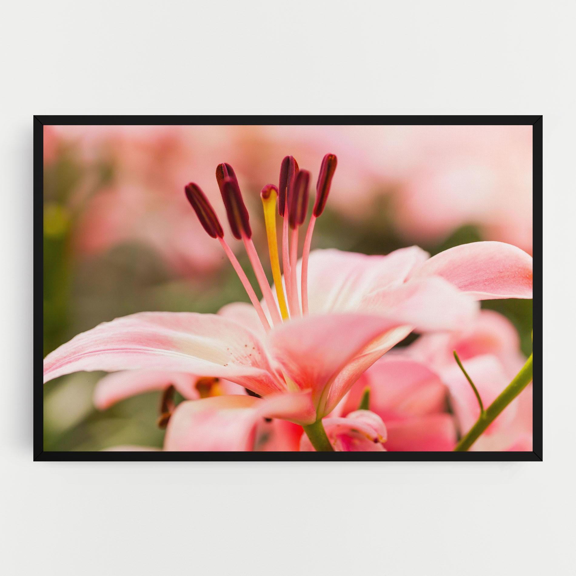 Tablou Canvas Flower mockup 0