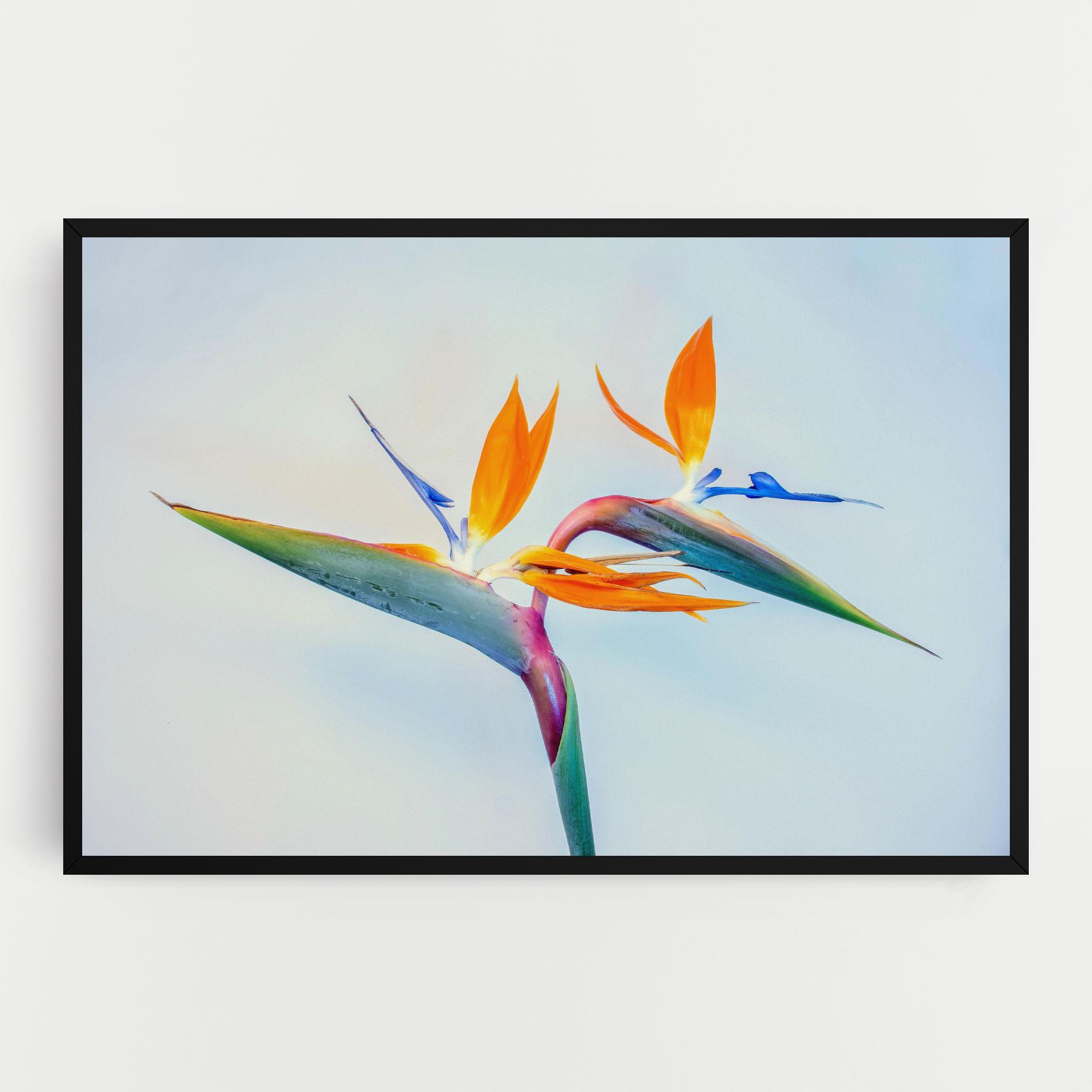 Tablou Canvas Green Orange Exotic mockup 0