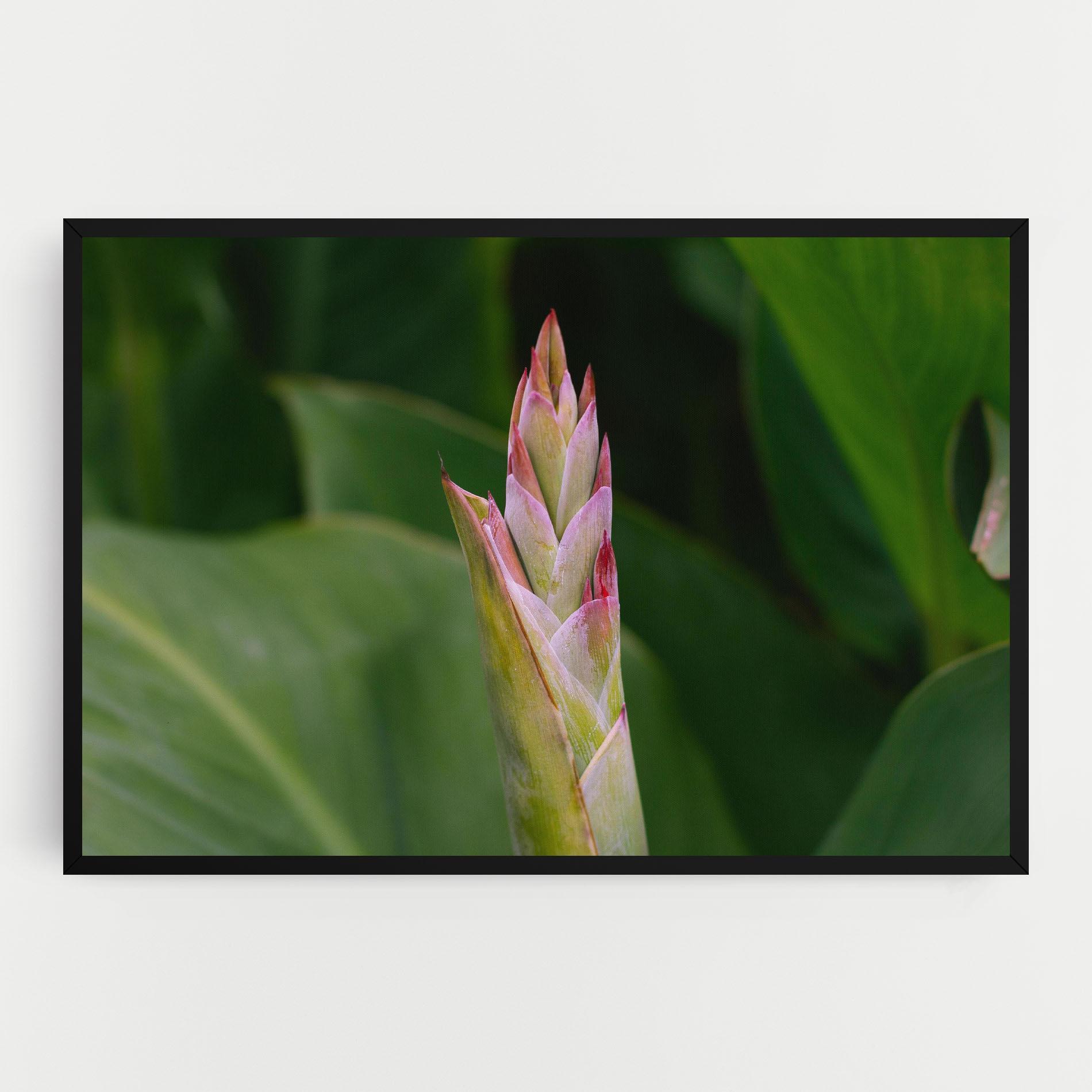 Tablou Canvas Light Pink Exotic mockup 0