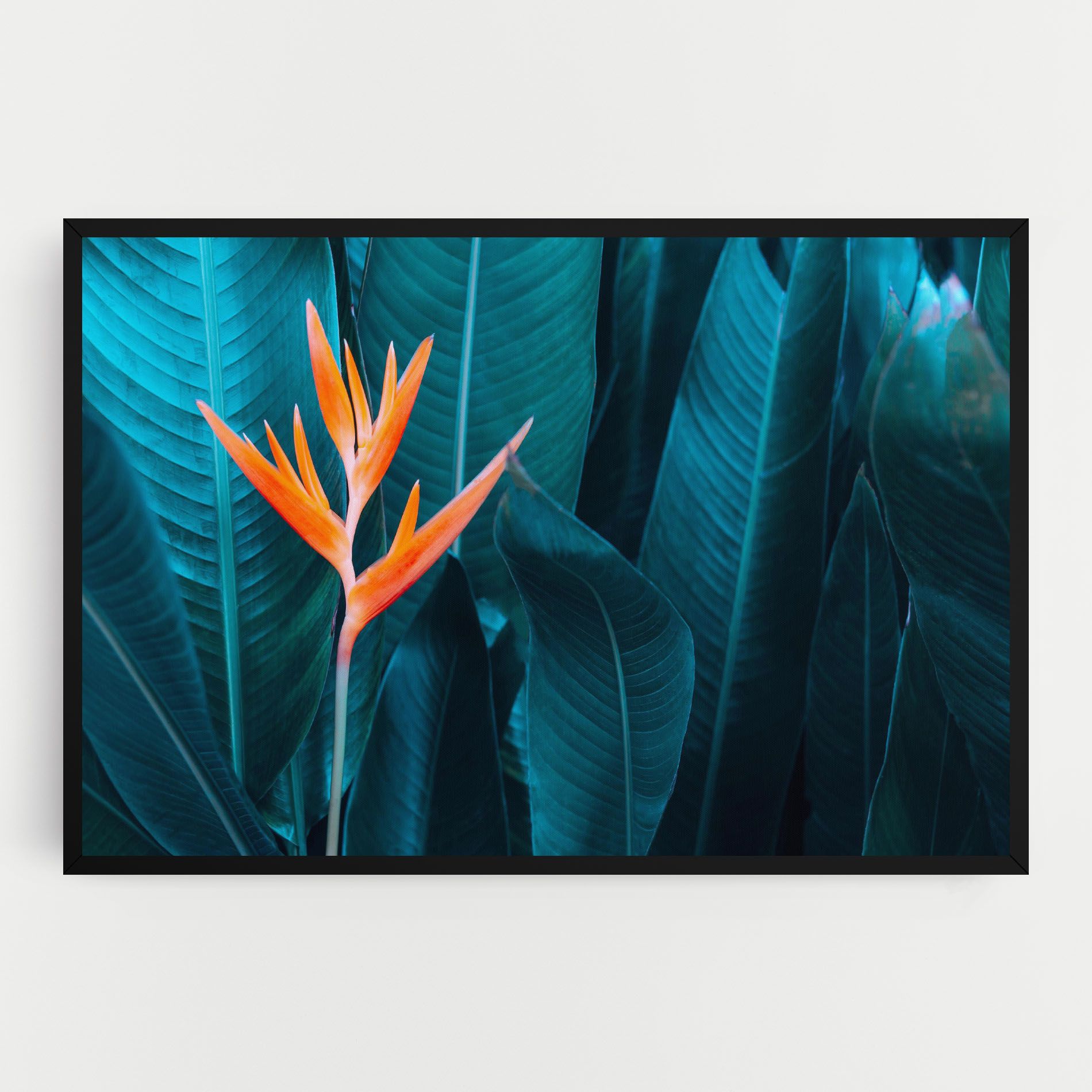 Orange Green Exotic mockup 0