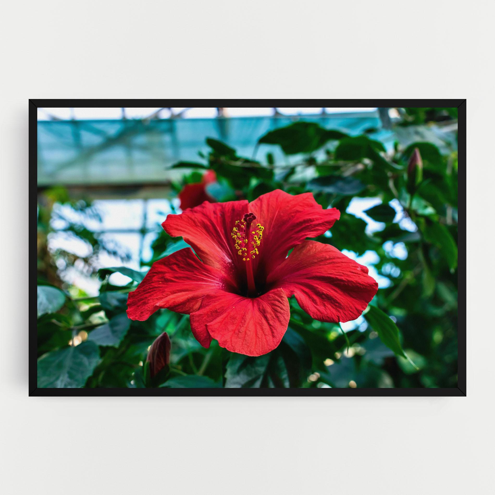 Tablou Canvas Red Exotic Plant mockup 0