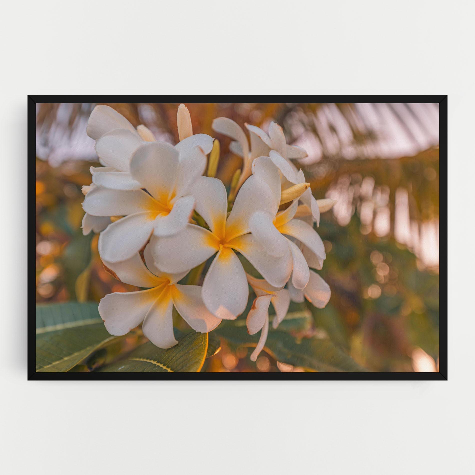 Tablou Canvas White Plumeria mockup 0