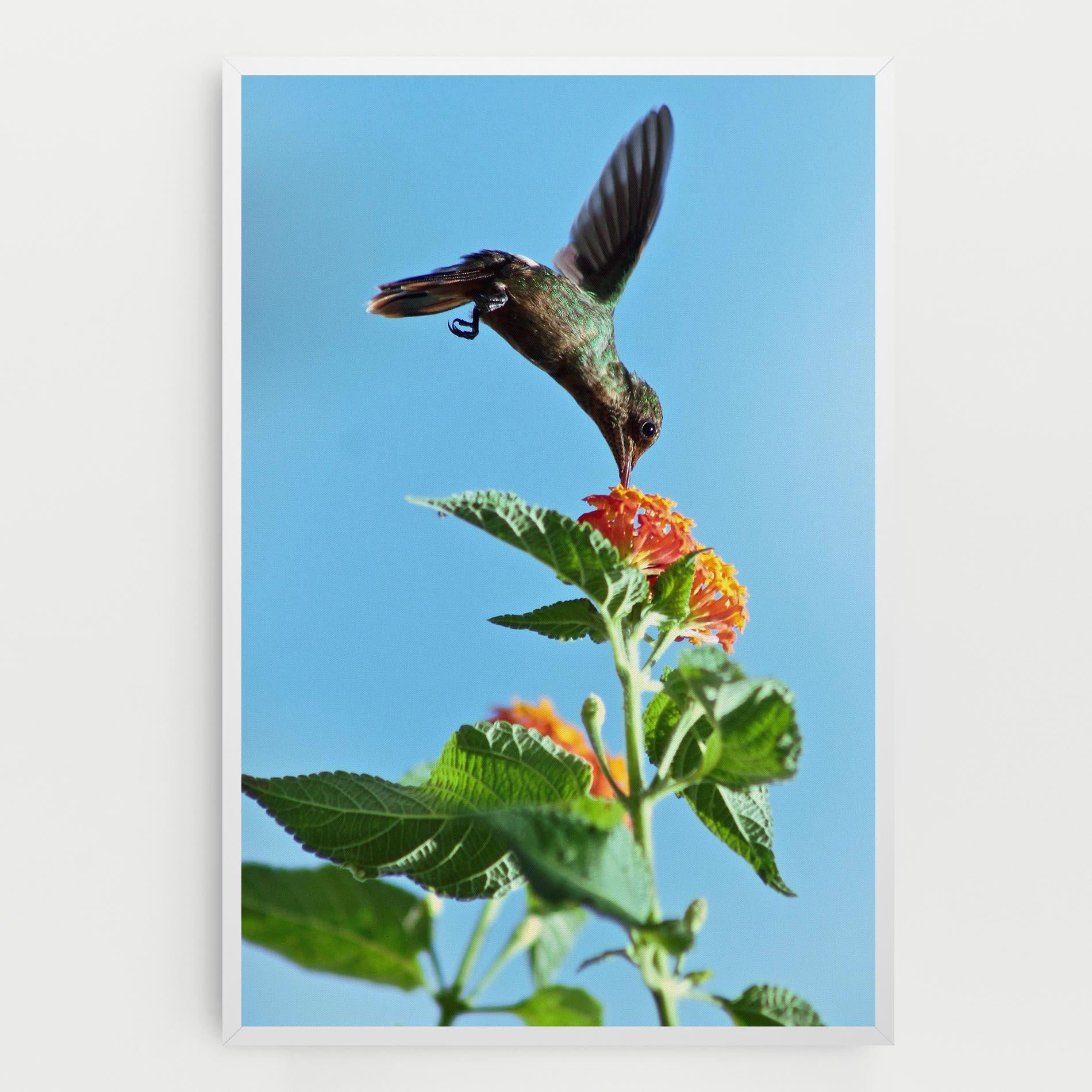 Tablou Canvas Bird Exotic Flower mockup 0