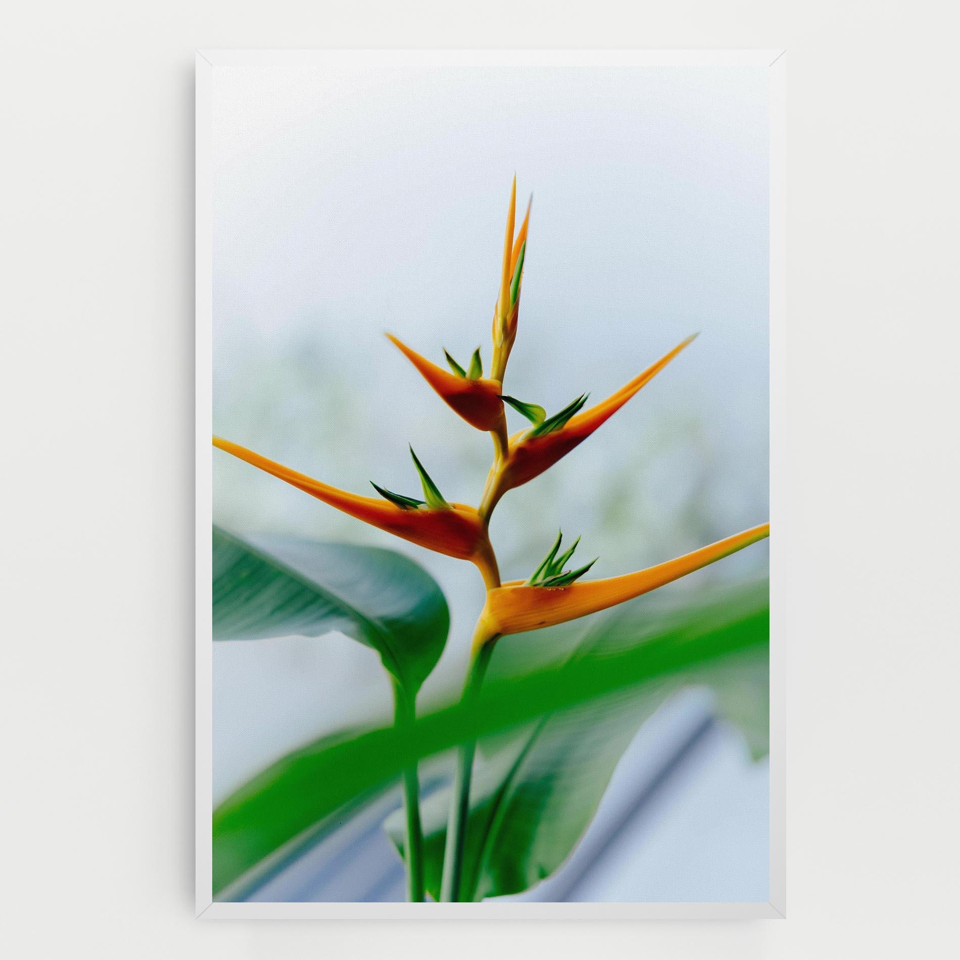 Tablou Canvas Exotic Orange Green mockup 0