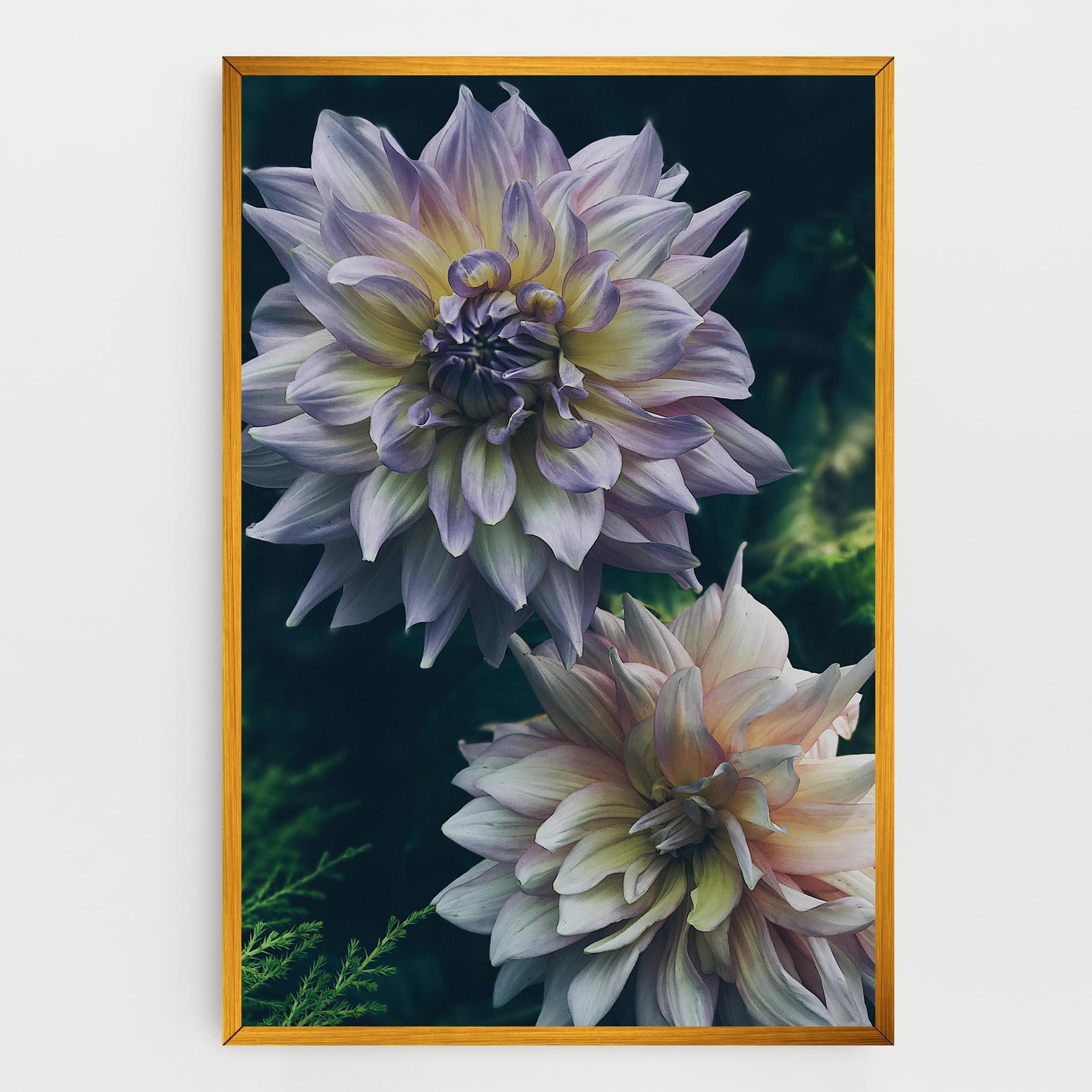 Tablou Canvas Dahlia Flowers mockup 0