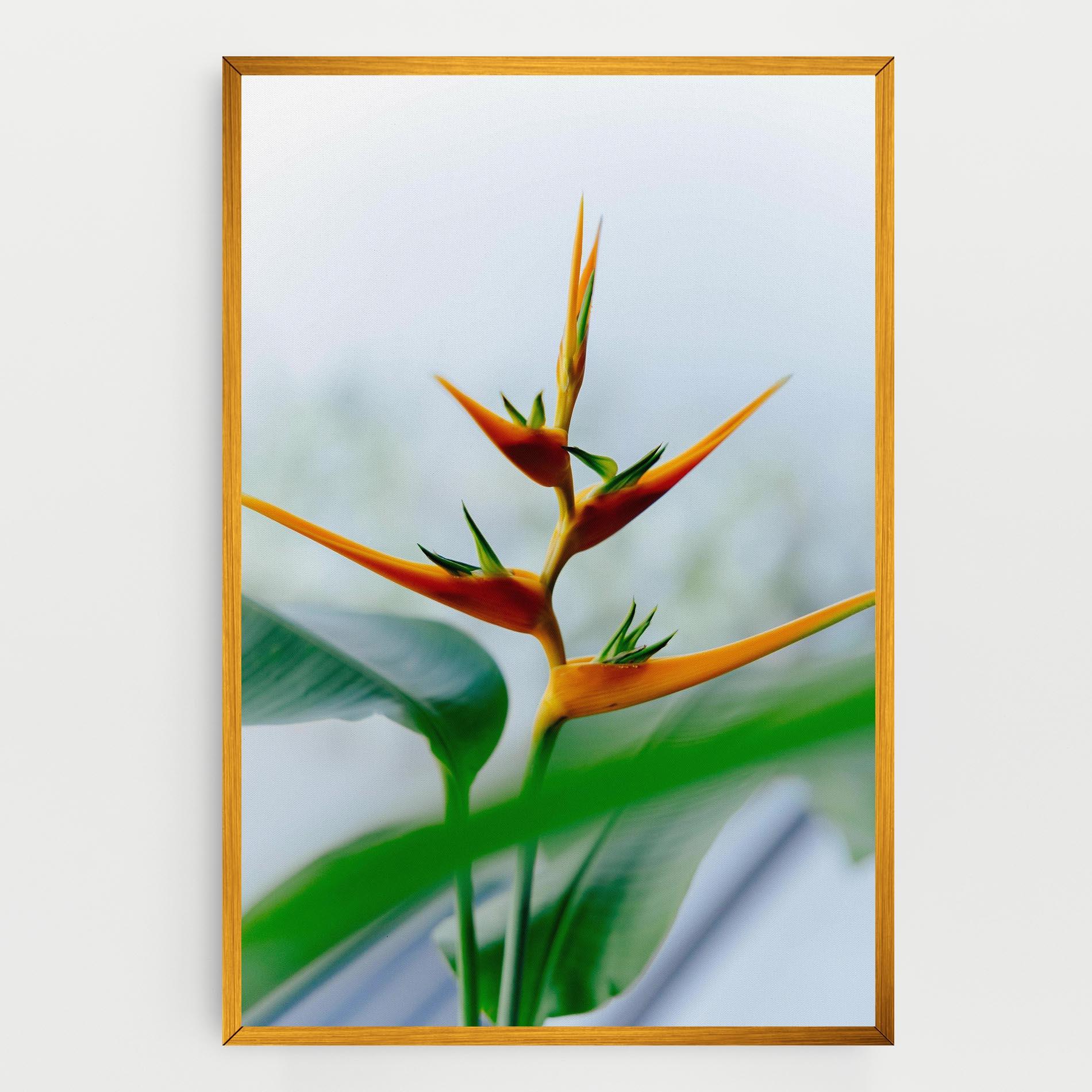 Tablou Canvas Exotic Orange Green mockup 0