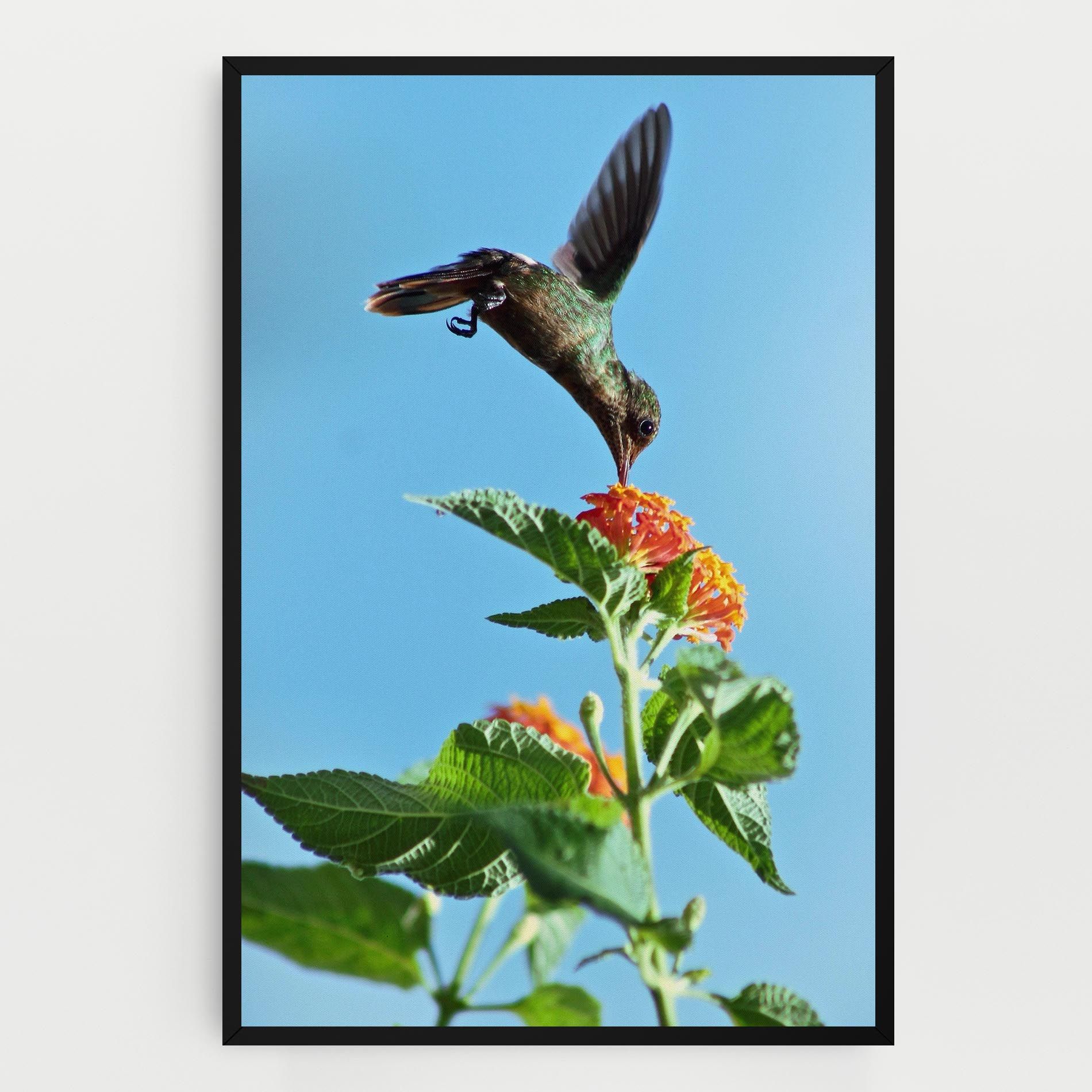 Bird Exotic Flower mockup 0