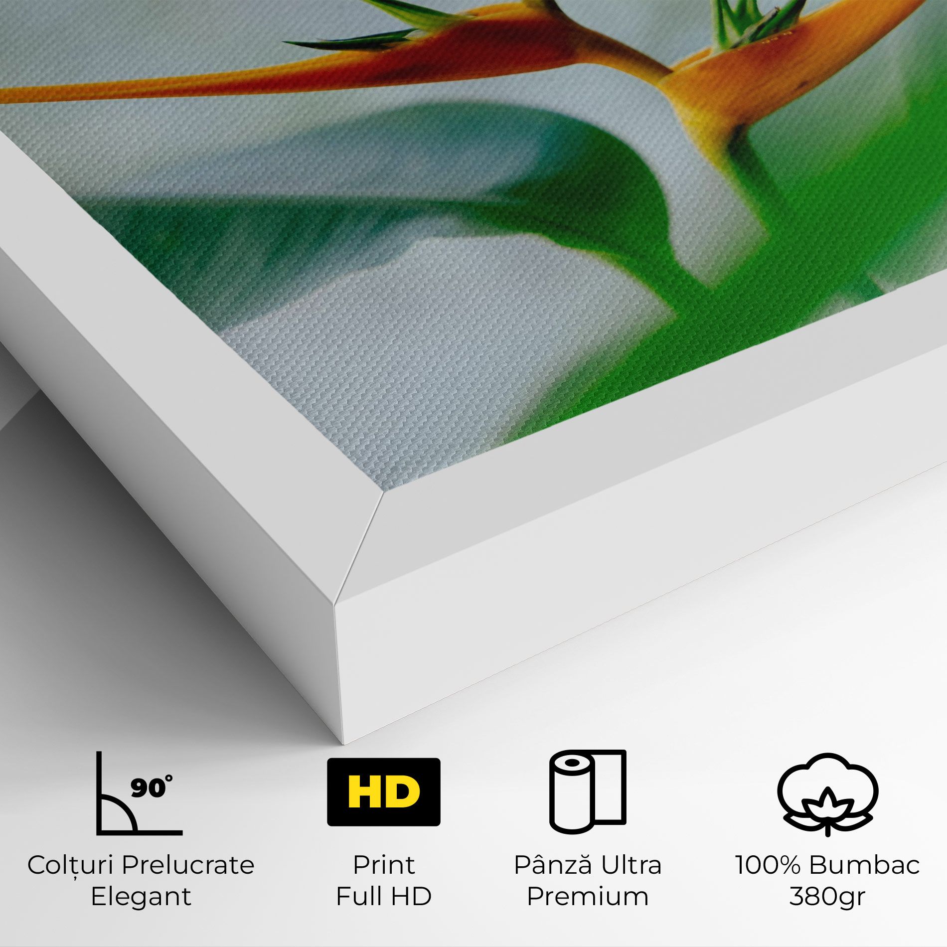 Exotic Orange Green mockup 4