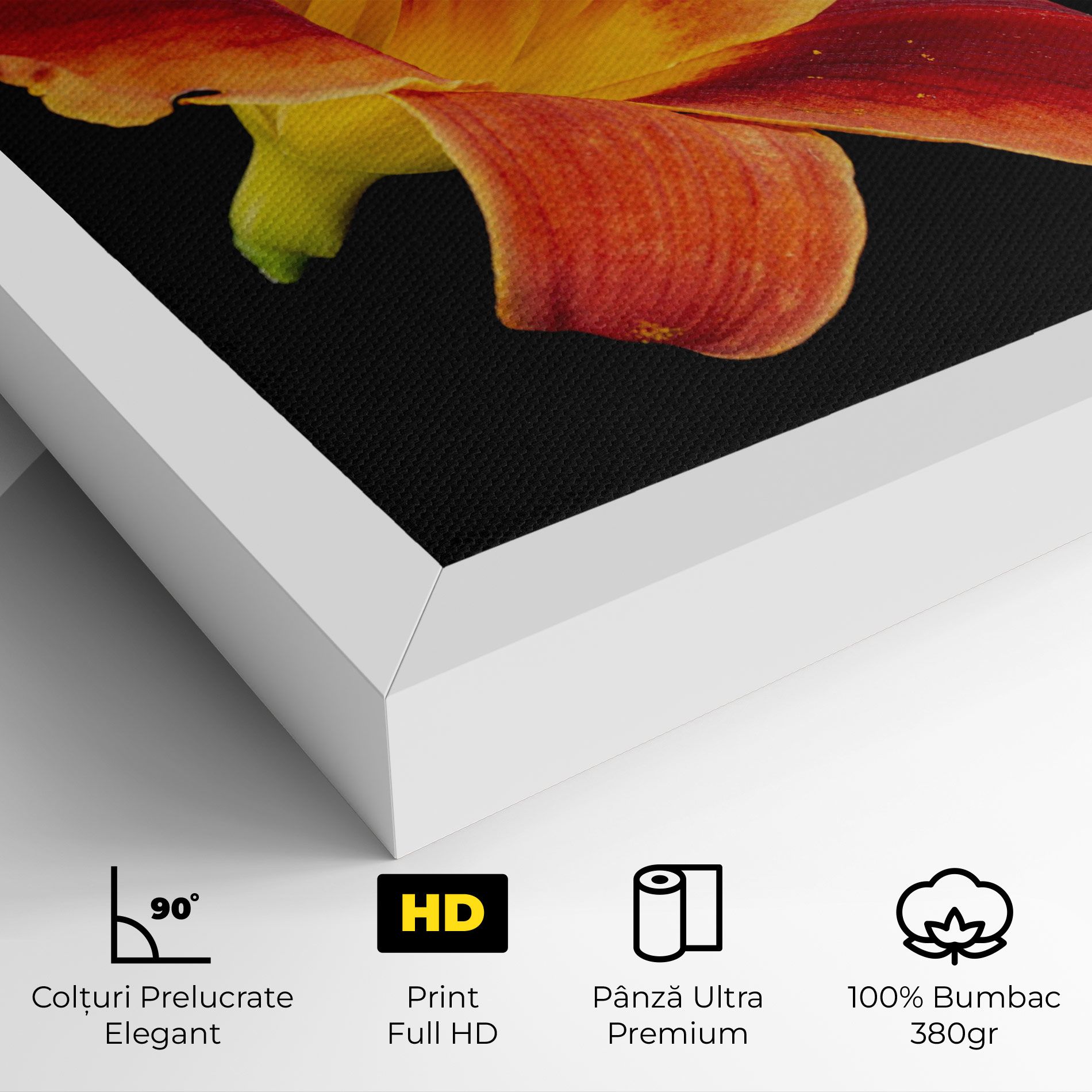 Exotic Orange Red mockup 4