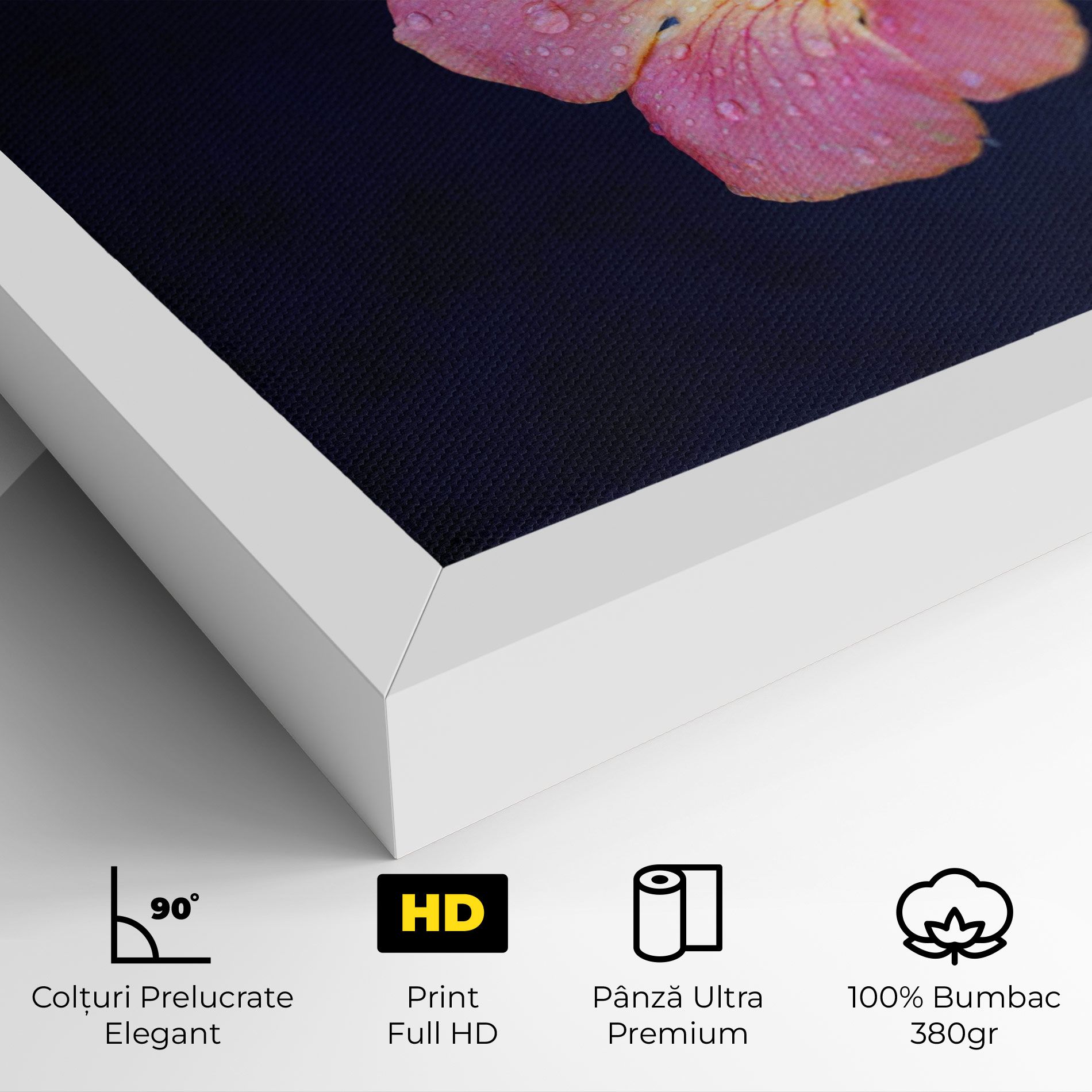 Exotic Pink Plant mockup 4