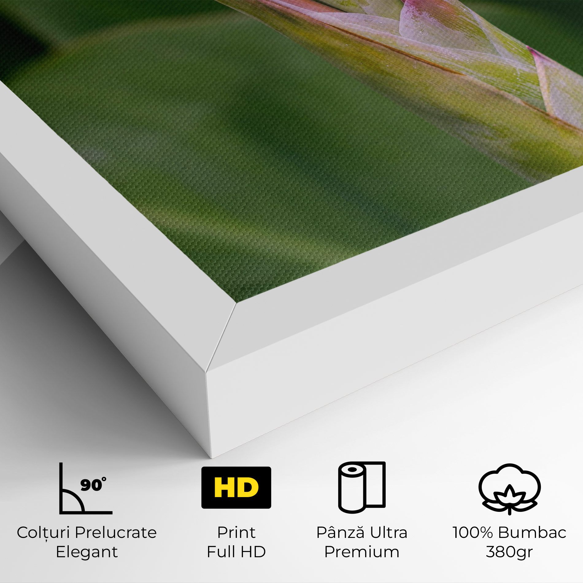 Light Pink Exotic mockup 4