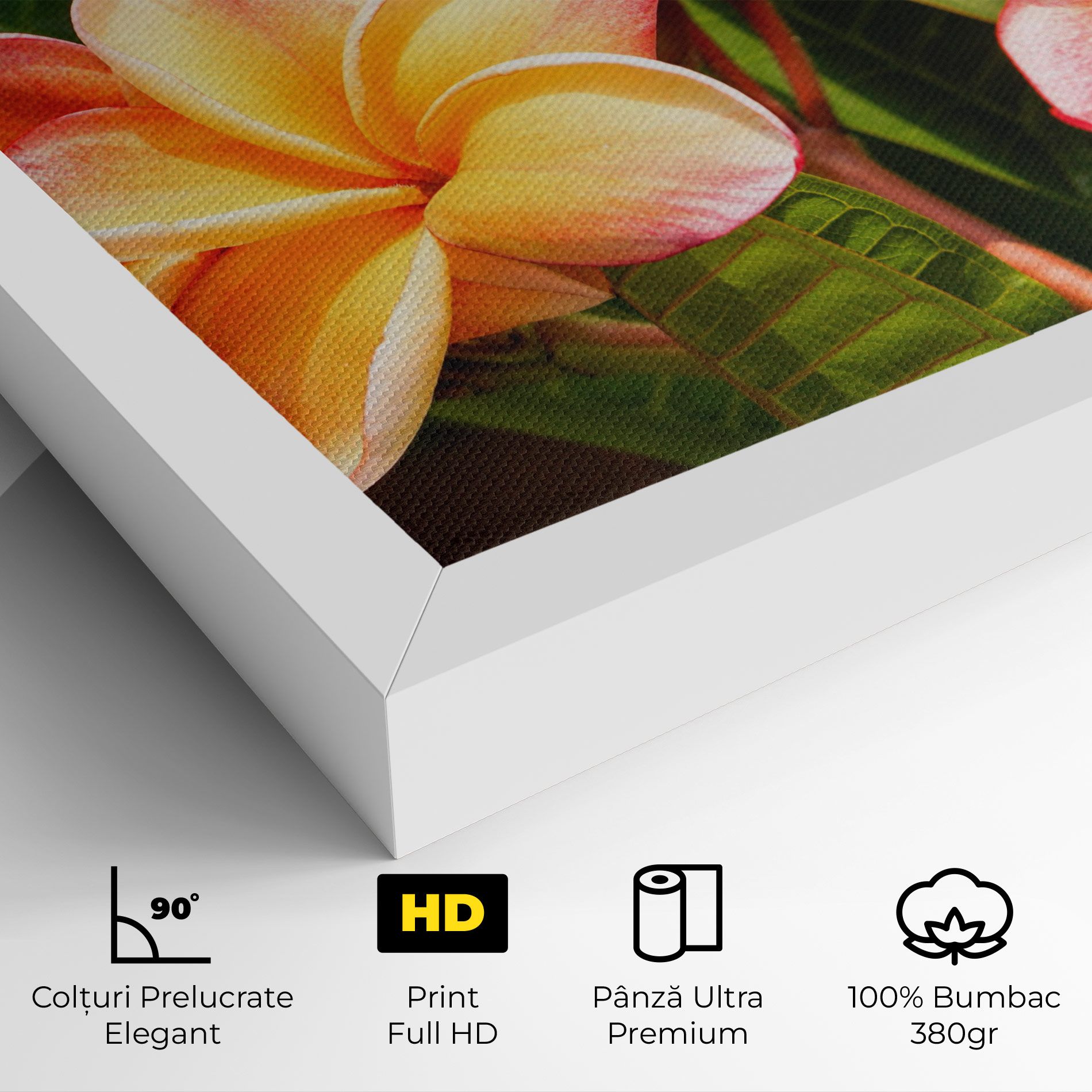 Pretty Plumeria mockup 4