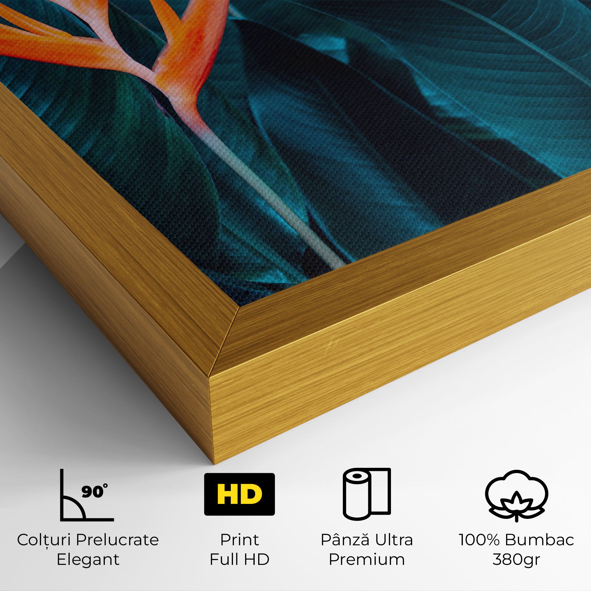 Orange Green Exotic mockup 4