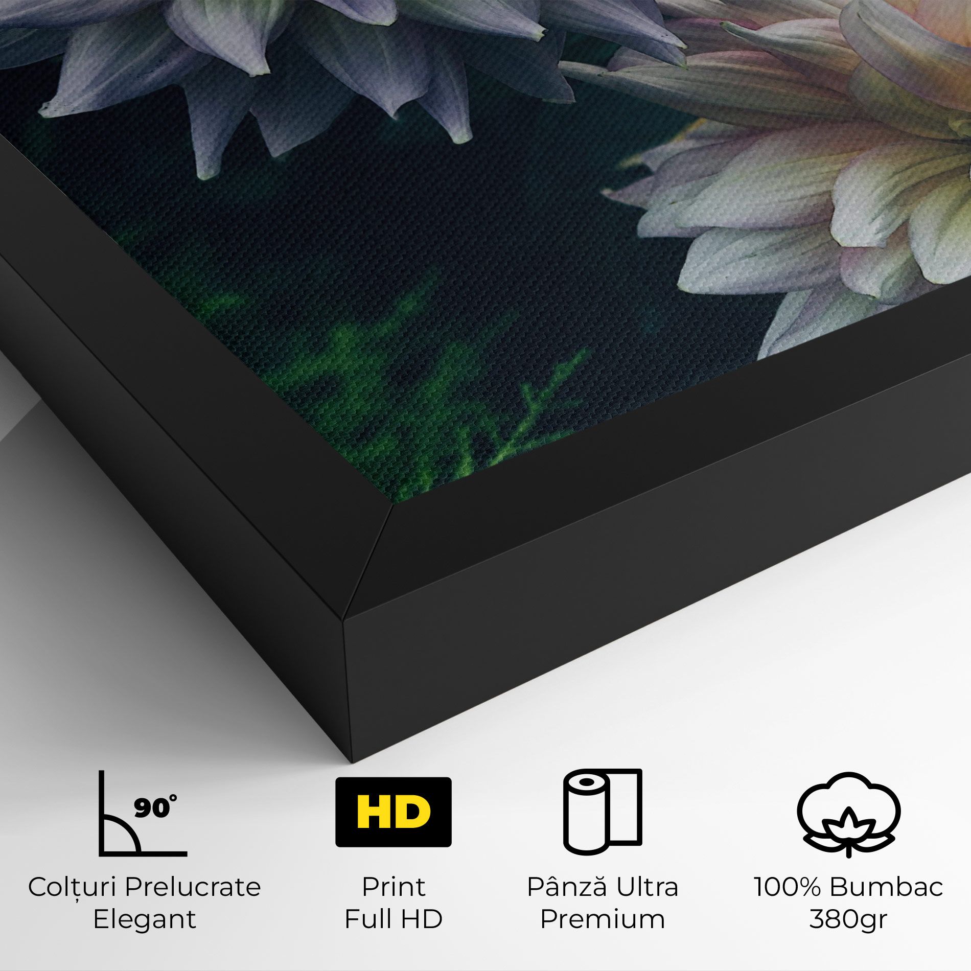 Dahlia Flowers mockup 4