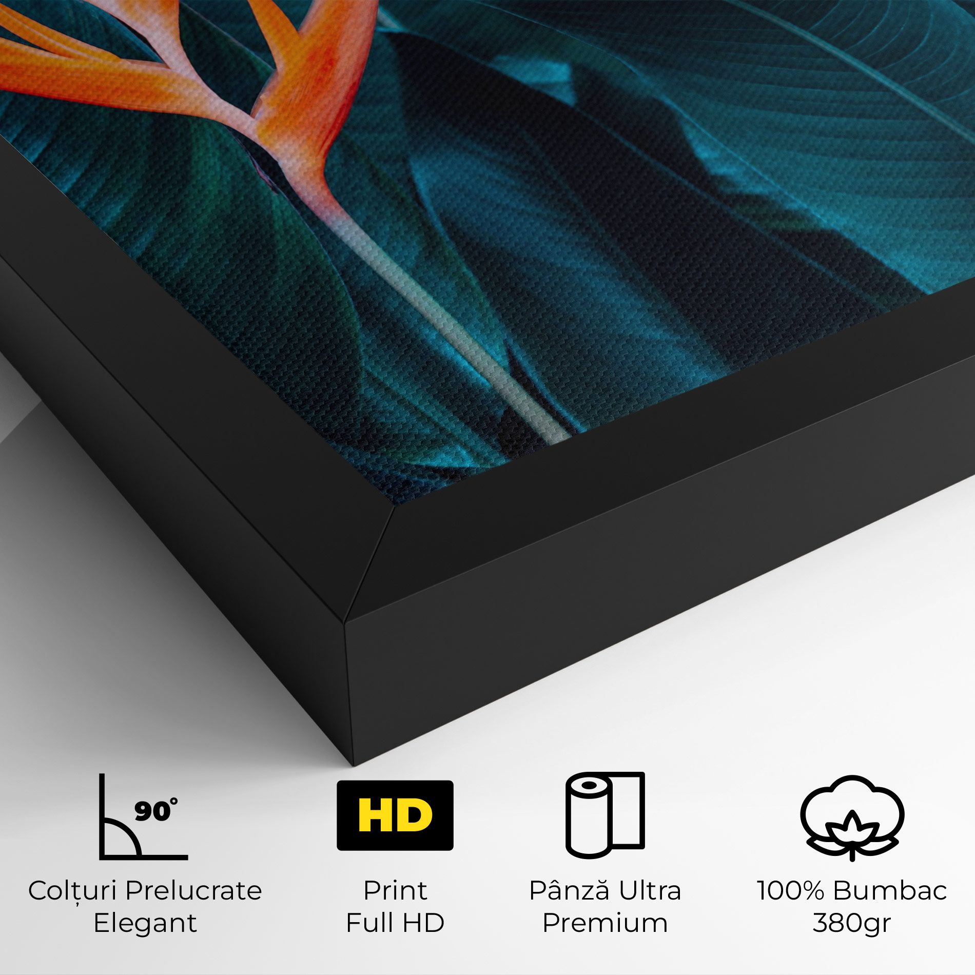 Orange Green Exotic mockup 4