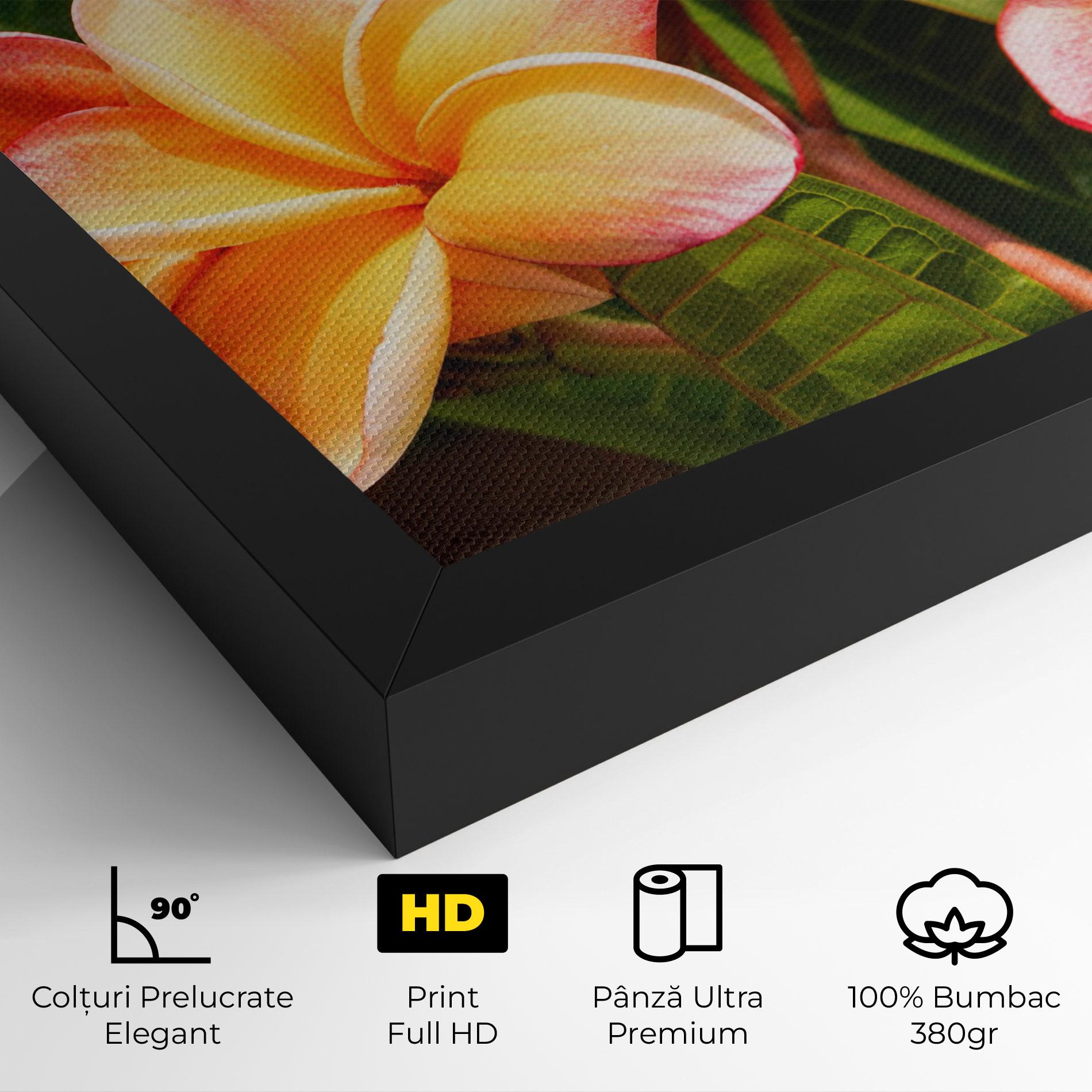 Tablou Canvas Pretty Plumeria mockup 4