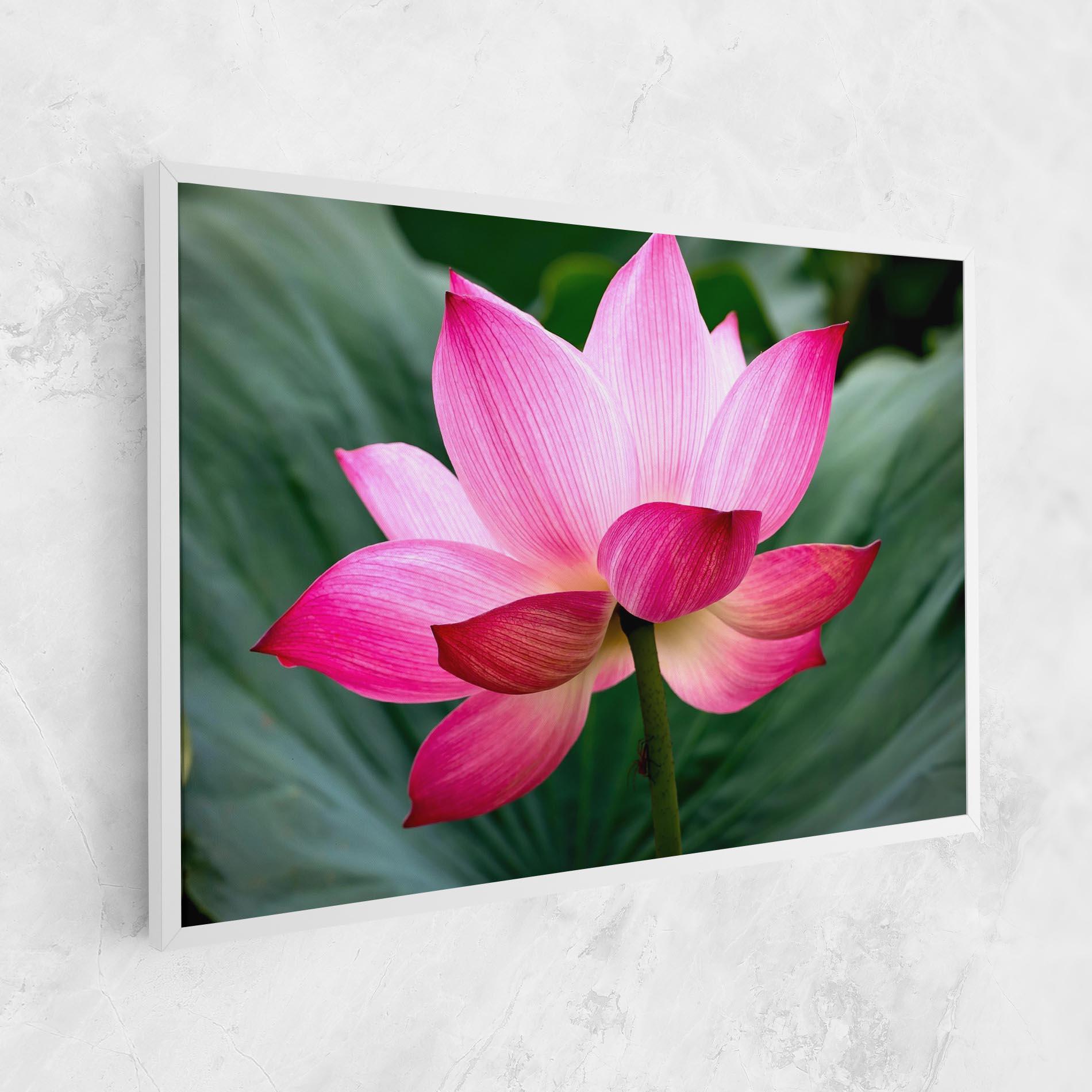 Tablou Canvas Beautiful Pink Exotic mockup 1