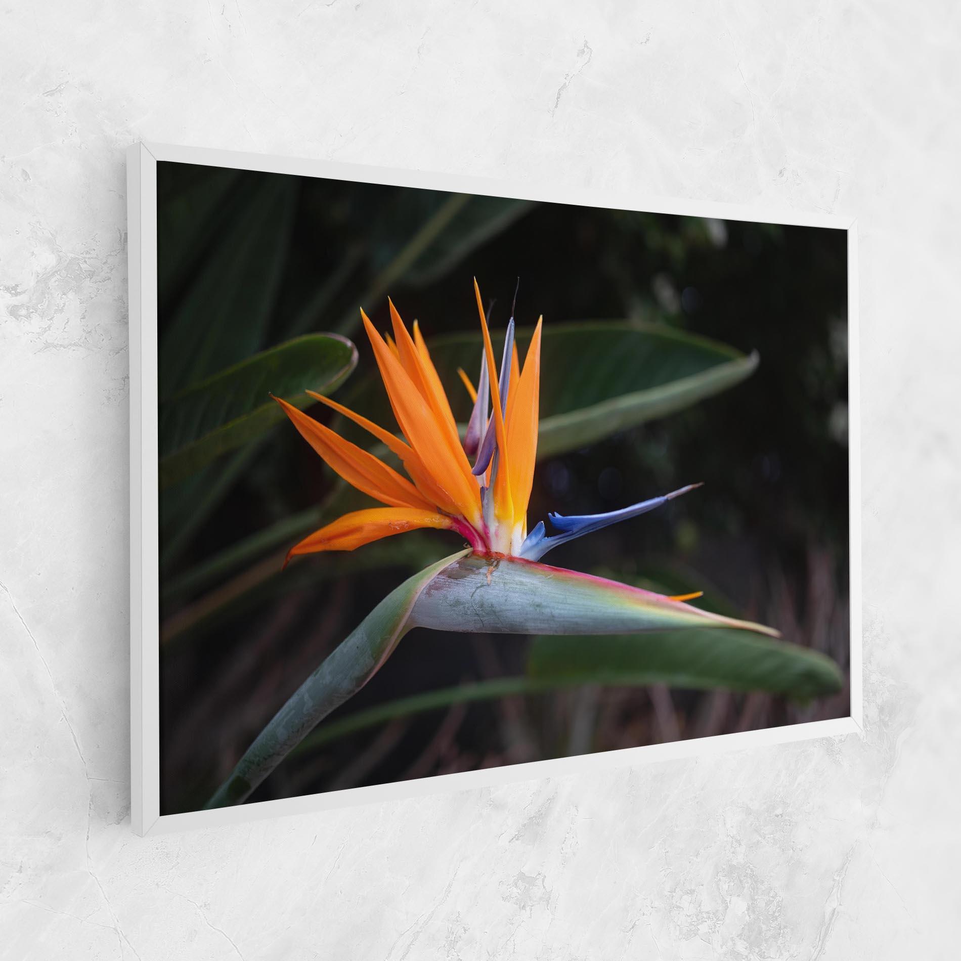 Tablou Canvas Paradise Plant mockup 1