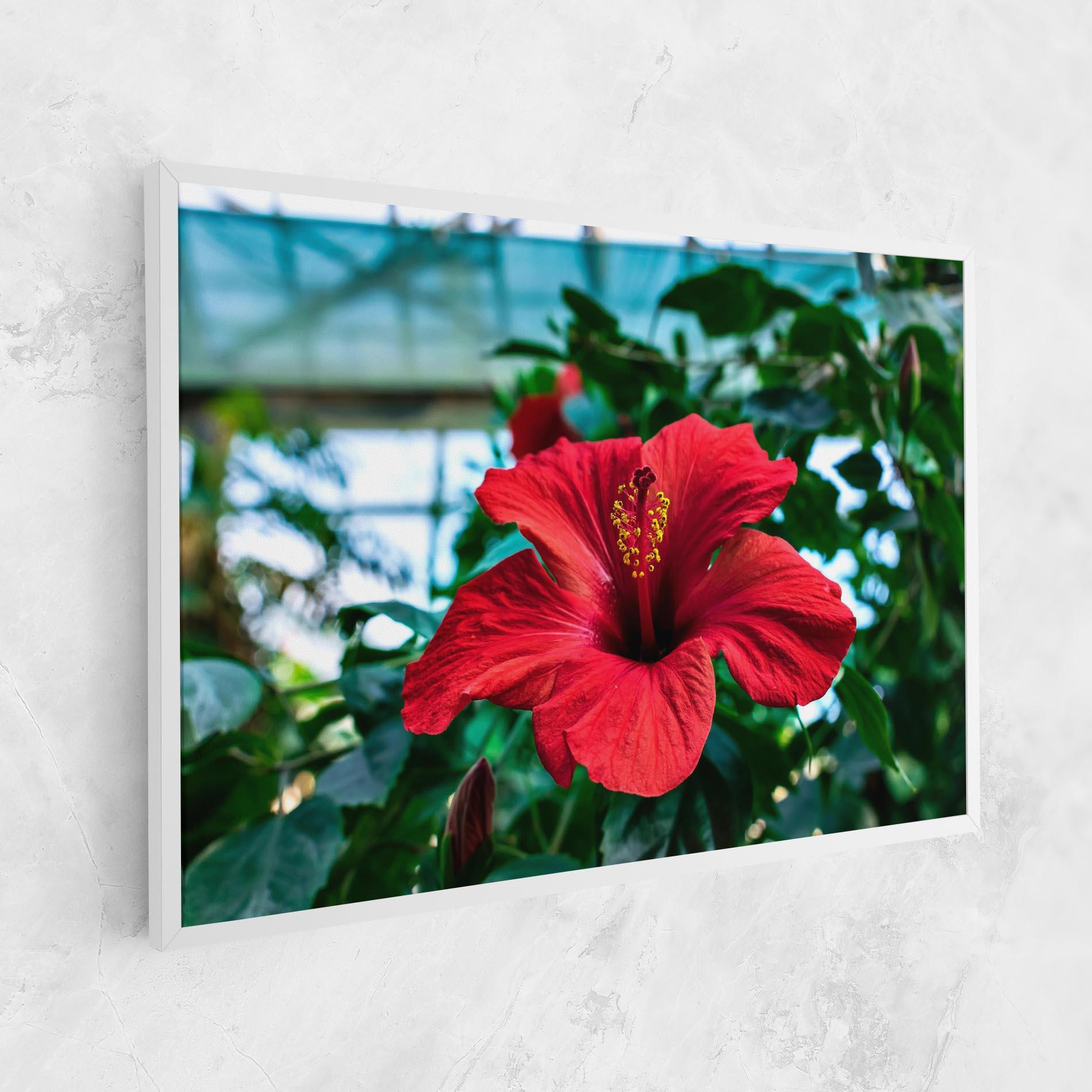 Tablou Canvas Red Exotic Plant mockup 1