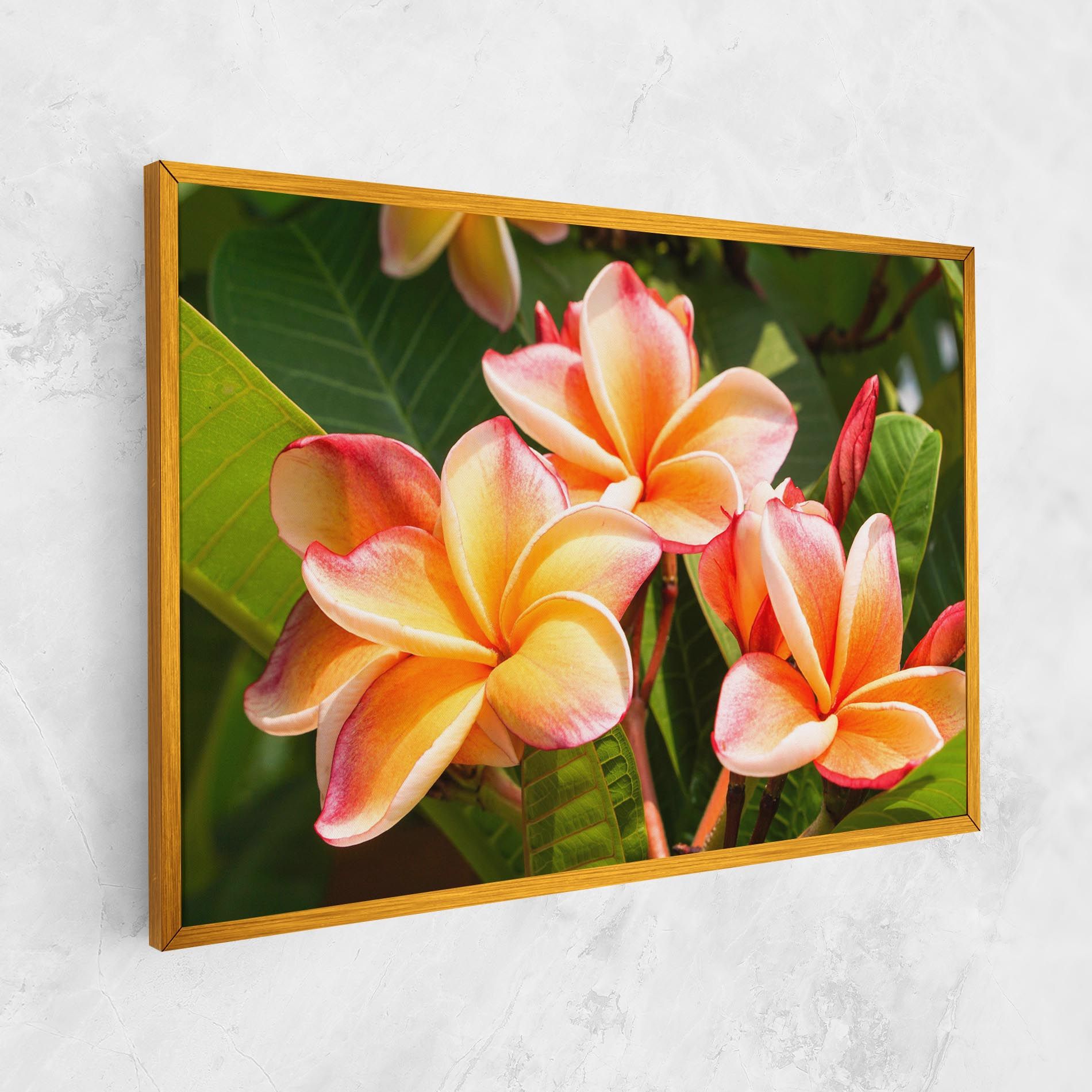 Pretty Plumeria mockup 1