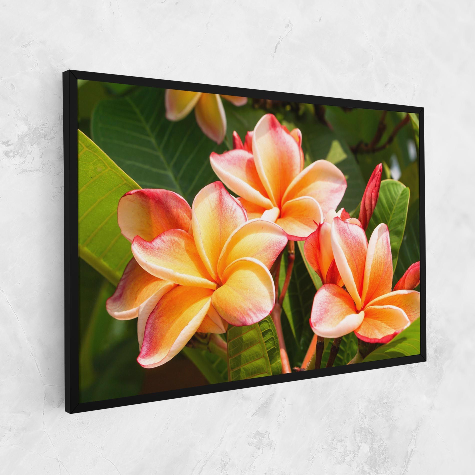Pretty Plumeria mockup 1