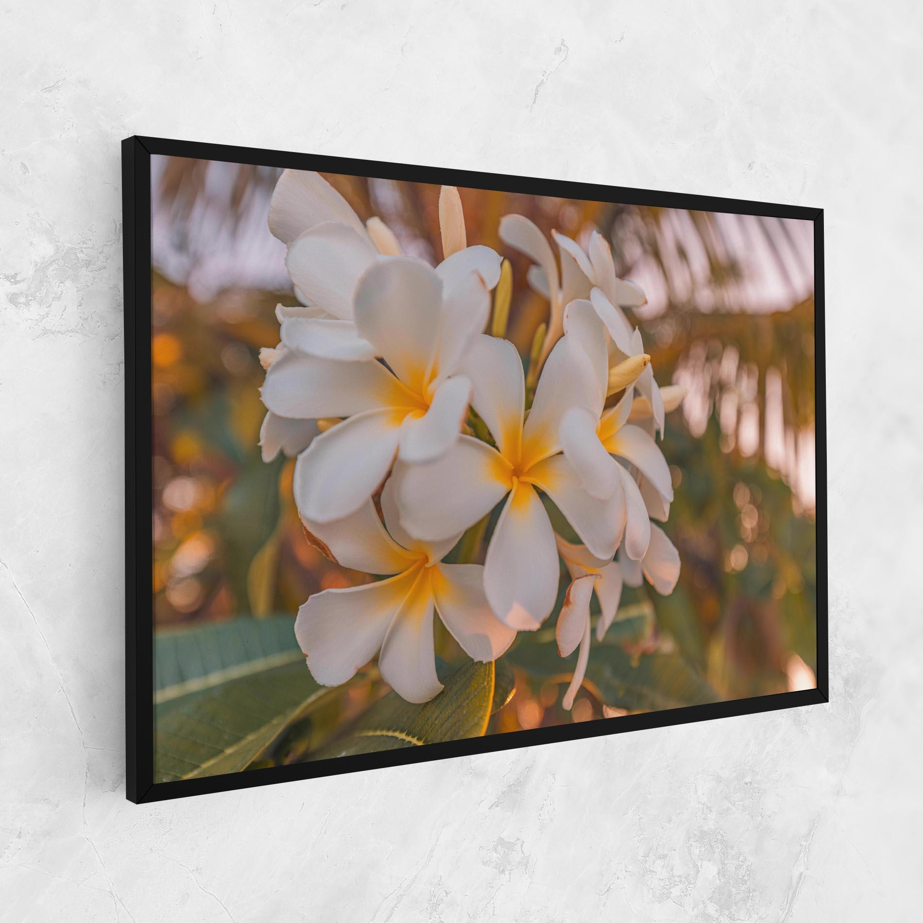 Tablou Canvas White Plumeria mockup 1