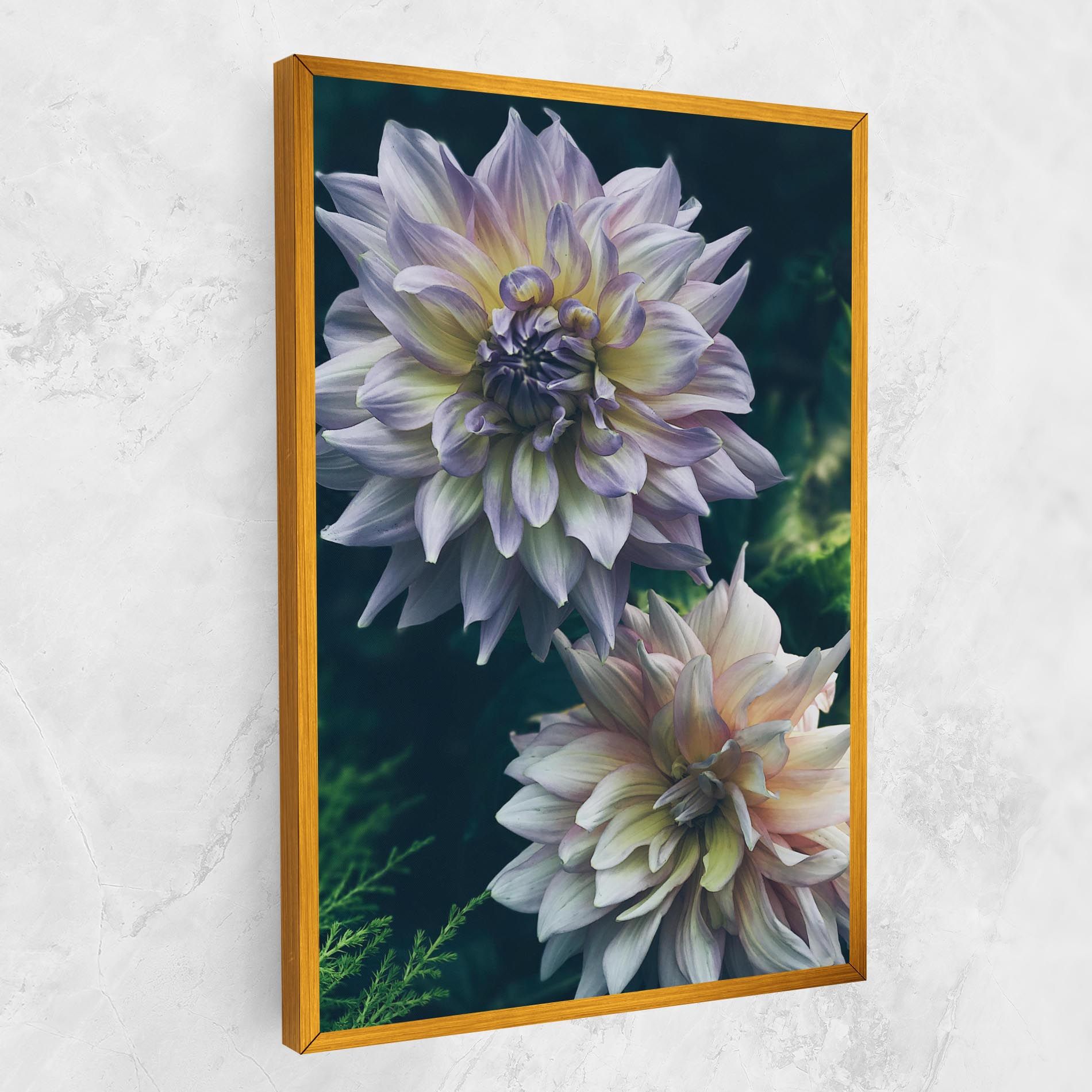 Dahlia Flowers mockup 1
