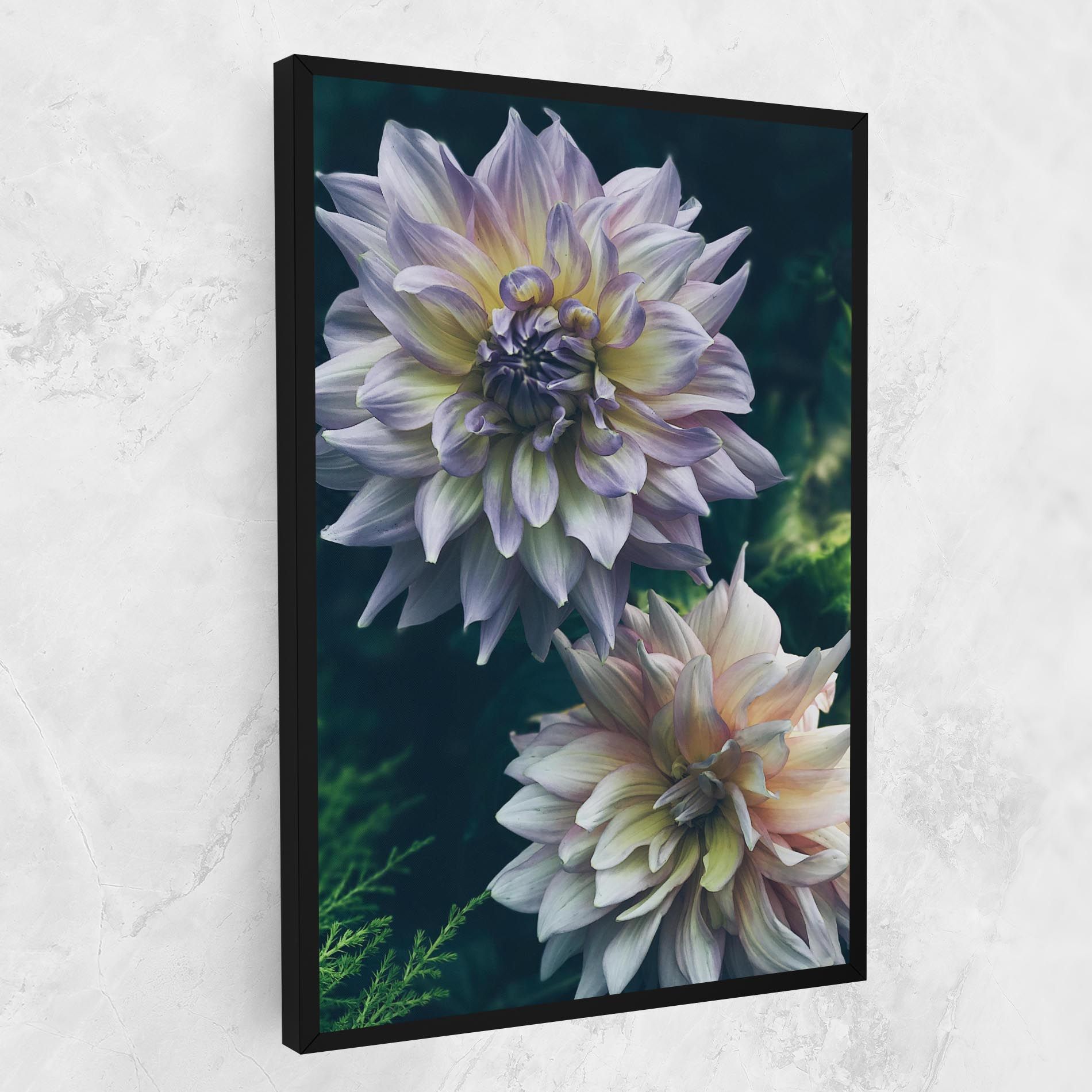 Dahlia Flowers mockup 1