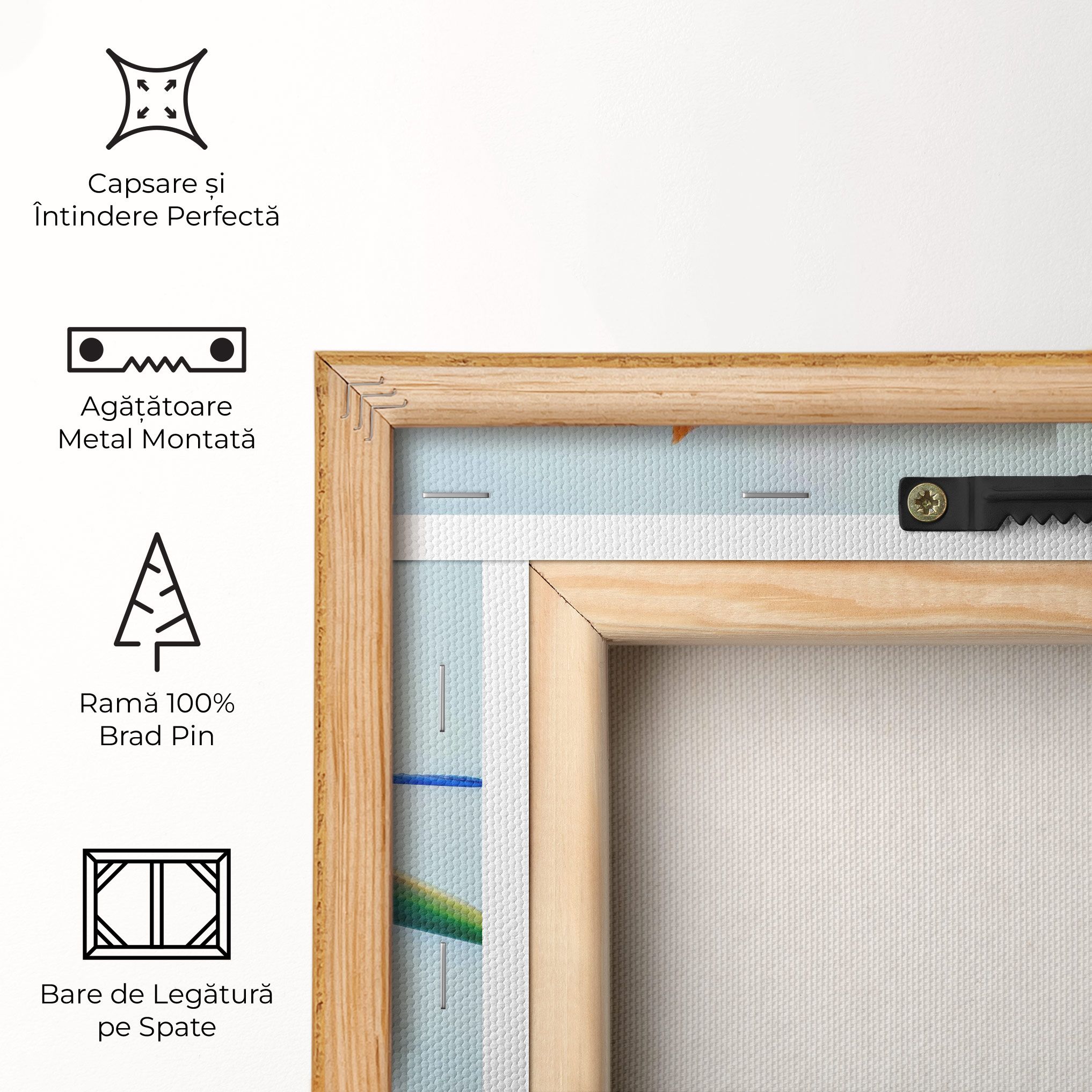 Green Orange Exotic mockup 5