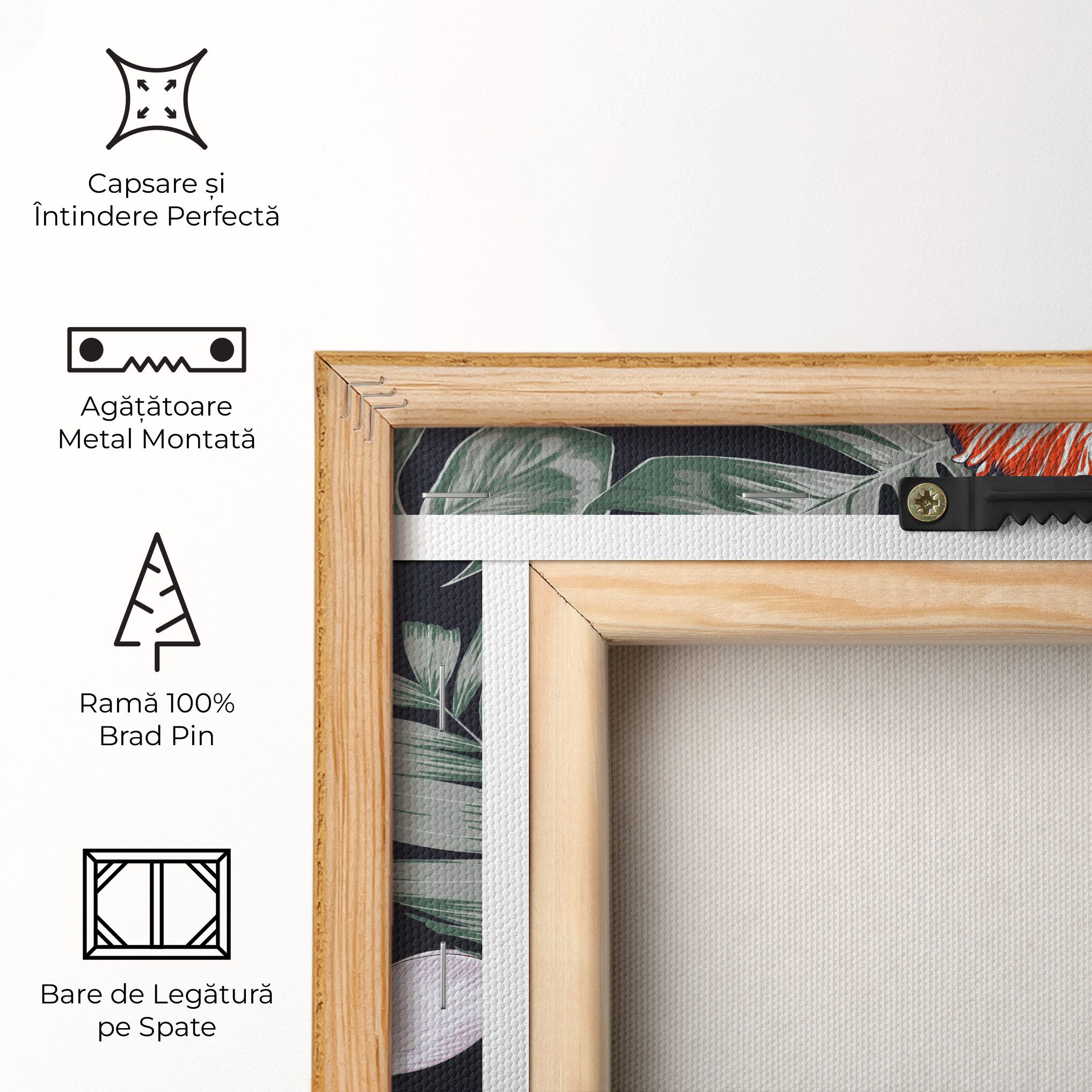 Orange White Exotic mockup 5