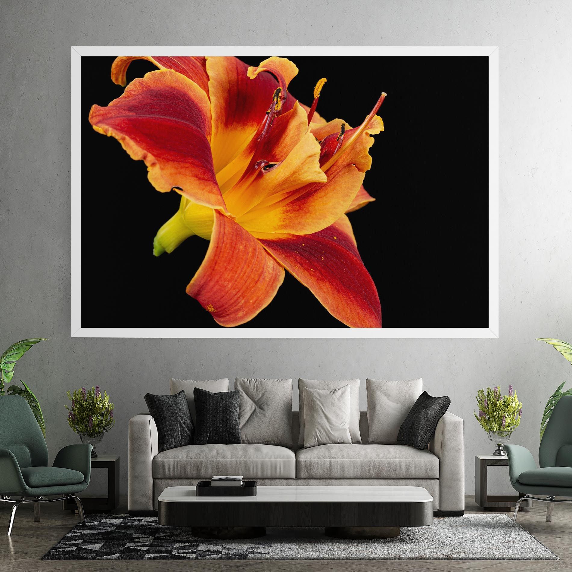 Exotic Orange Red mockup 7