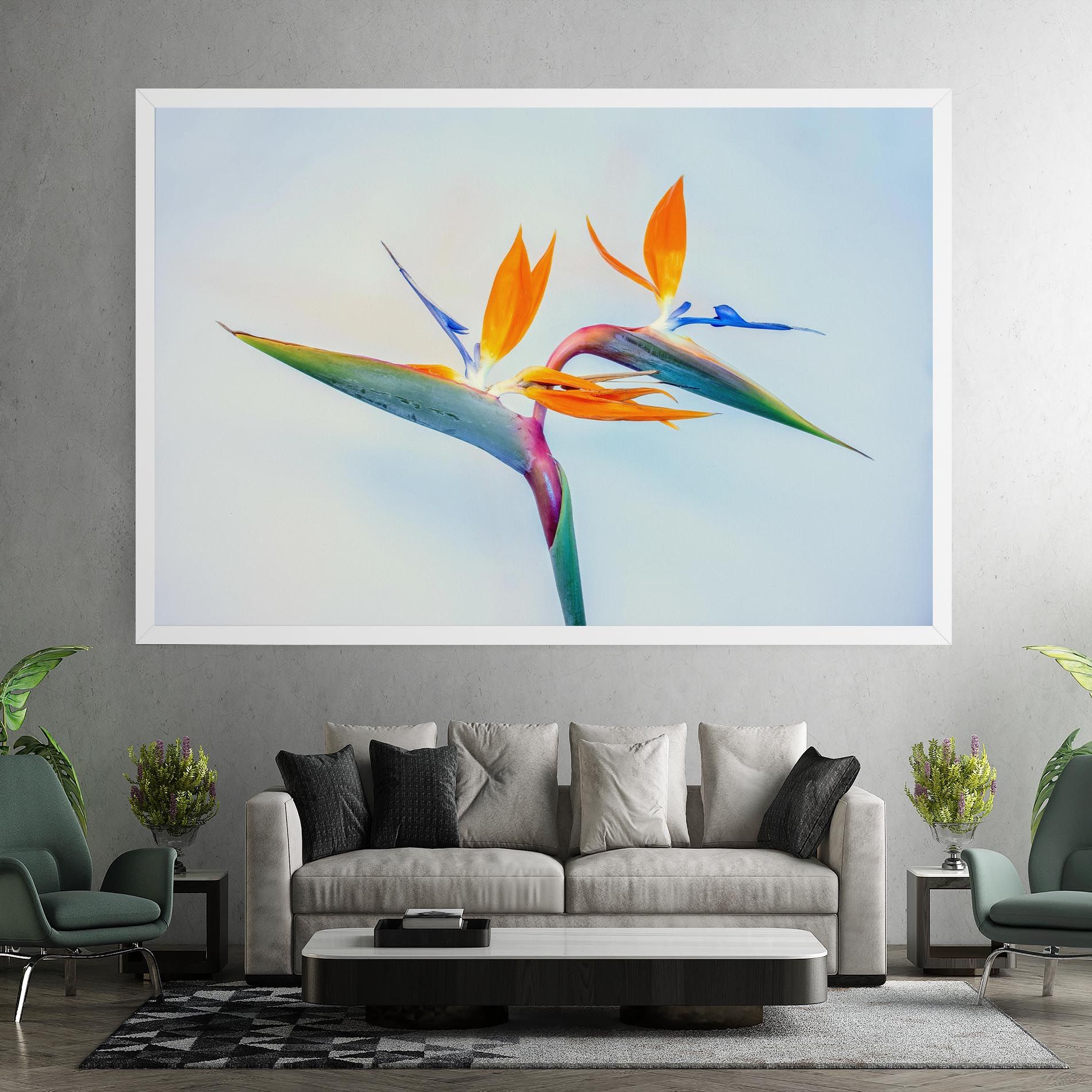 Green Orange Exotic mockup 7