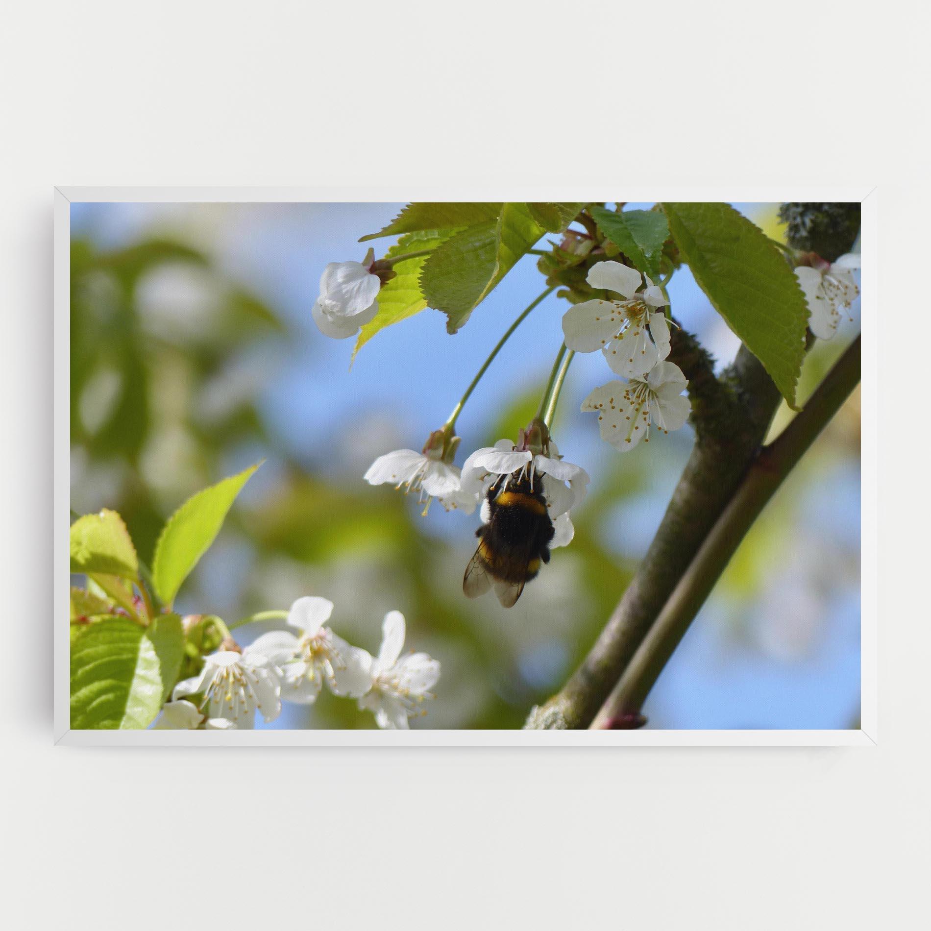 Tablou Canvas Bee Wild Tree mockup 0