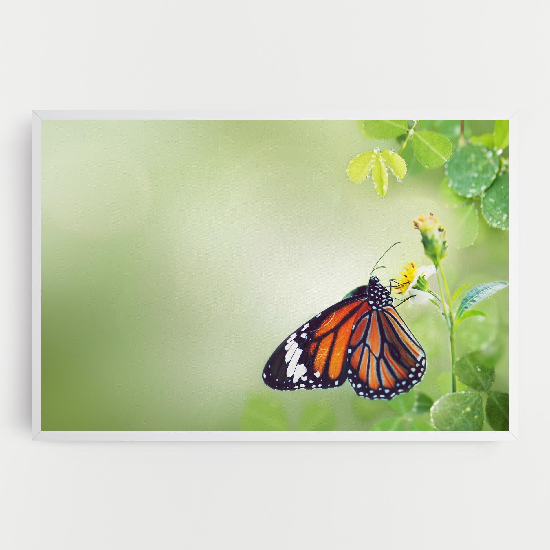 Tablou Canvas Butterfly Wild Plant mockup 0