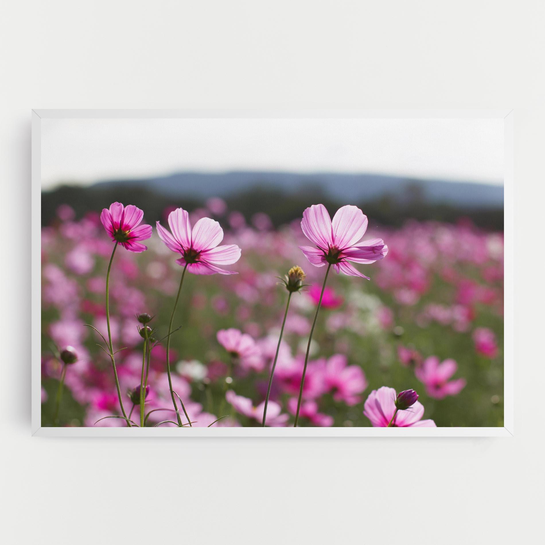 Tablou Canvas Cosmos Flower mockup 0