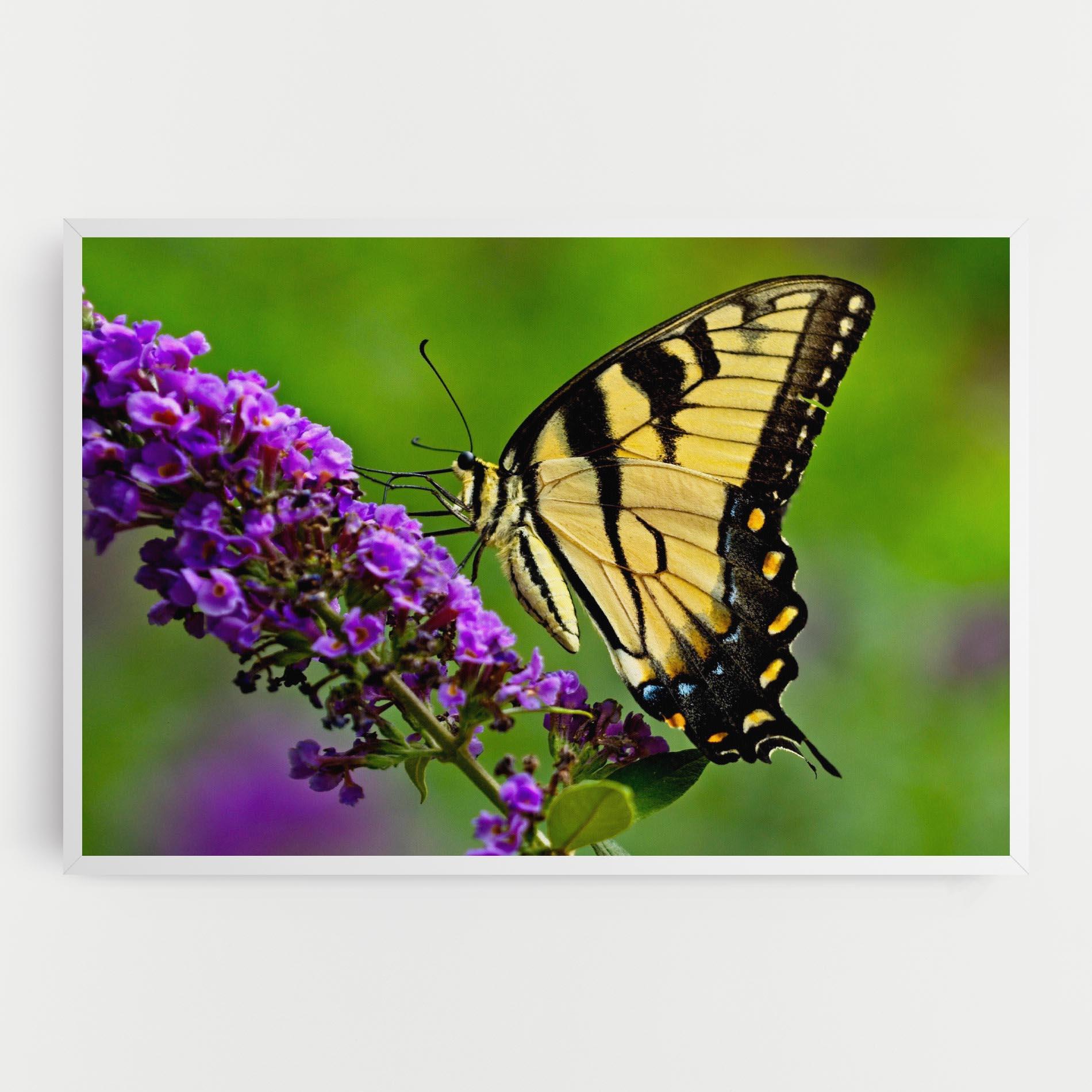 Tablou Canvas Cream Wild Butterfly mockup 0