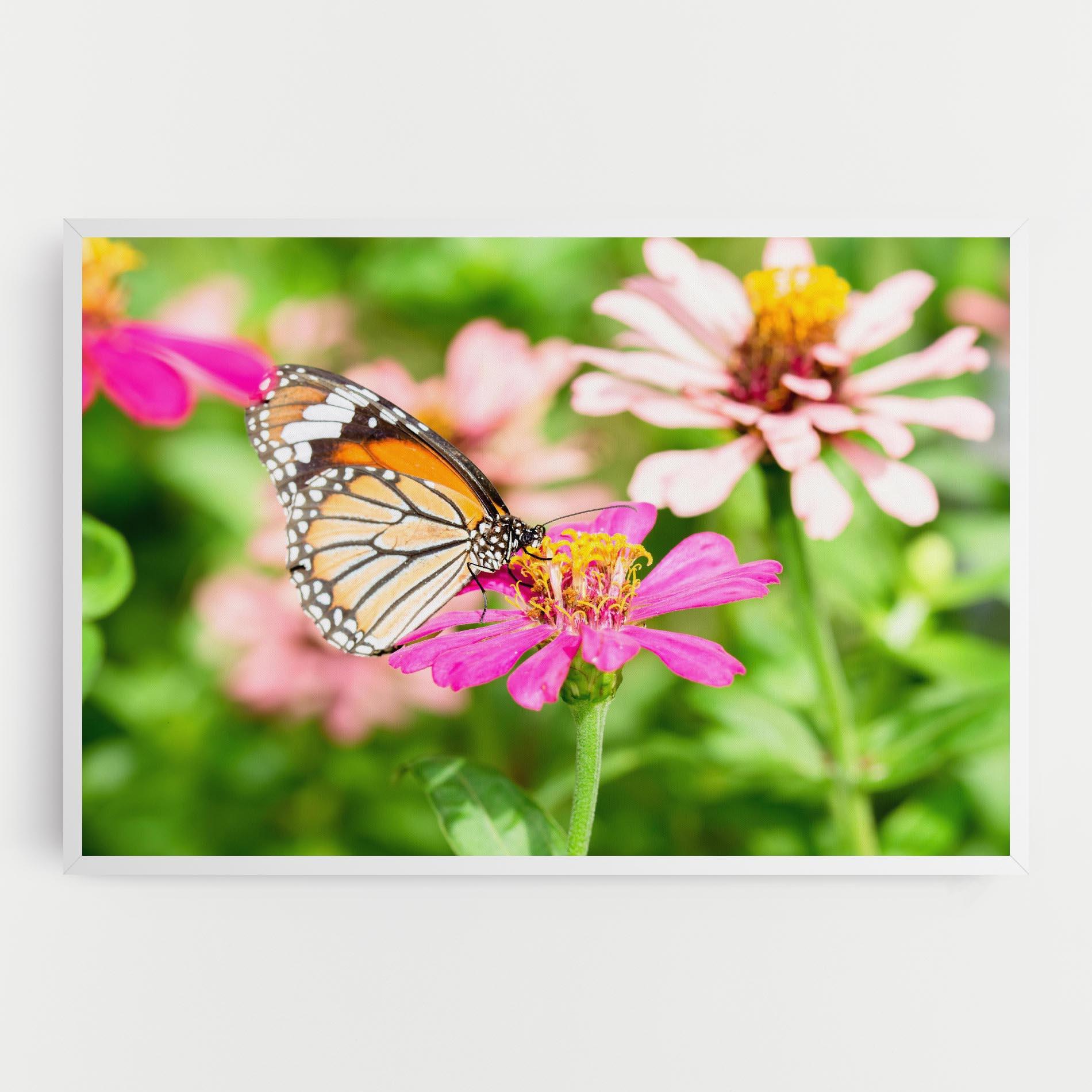 Tablou Canvas Daylight Butterfly mockup 0