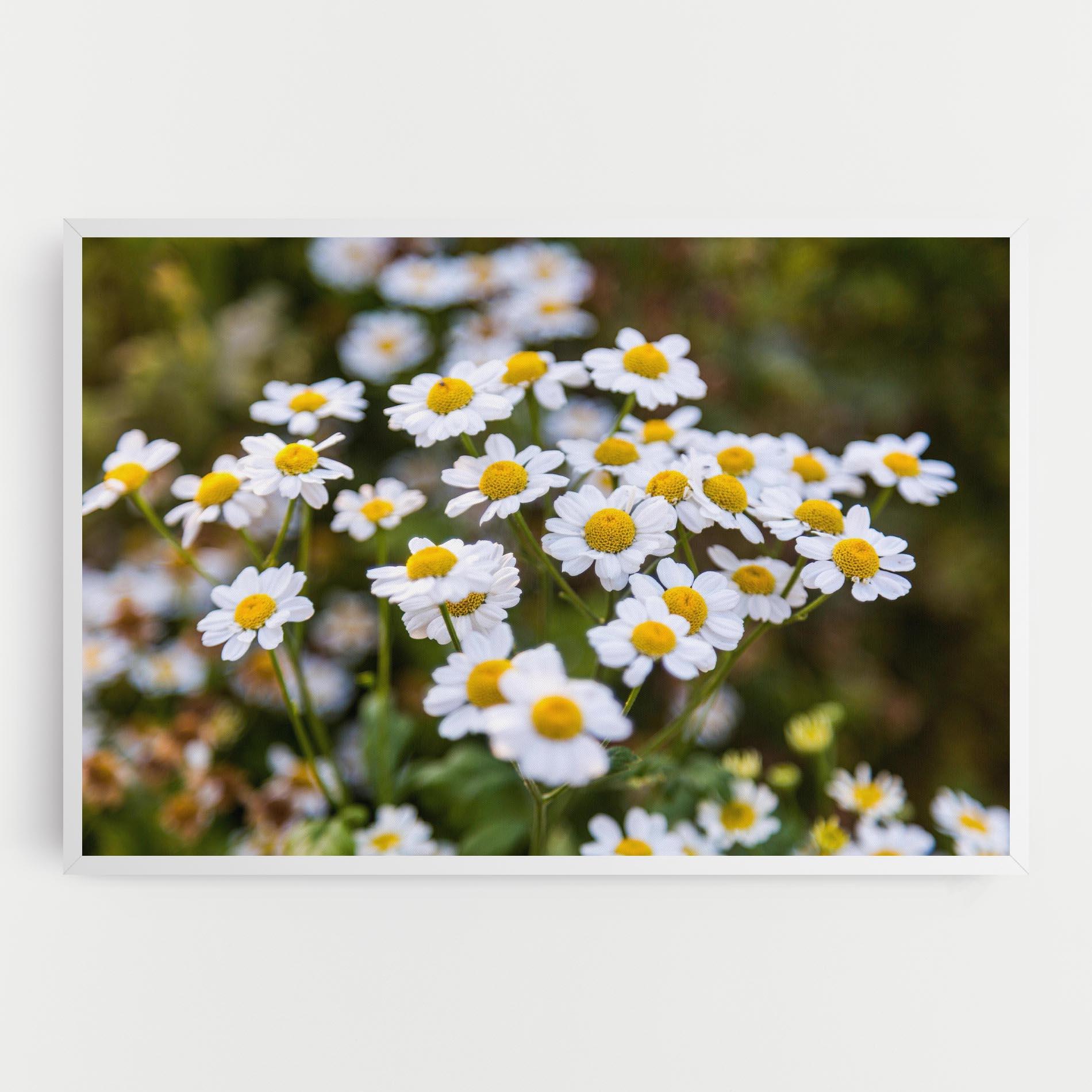 Tablou Canvas Flowers Garden mockup 0