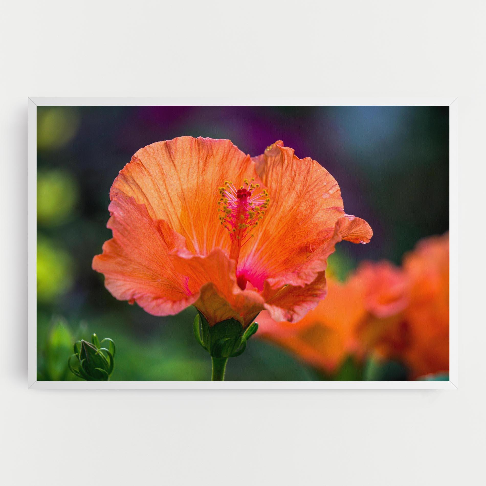 Tablou Canvas Orange Wild Flower mockup 0