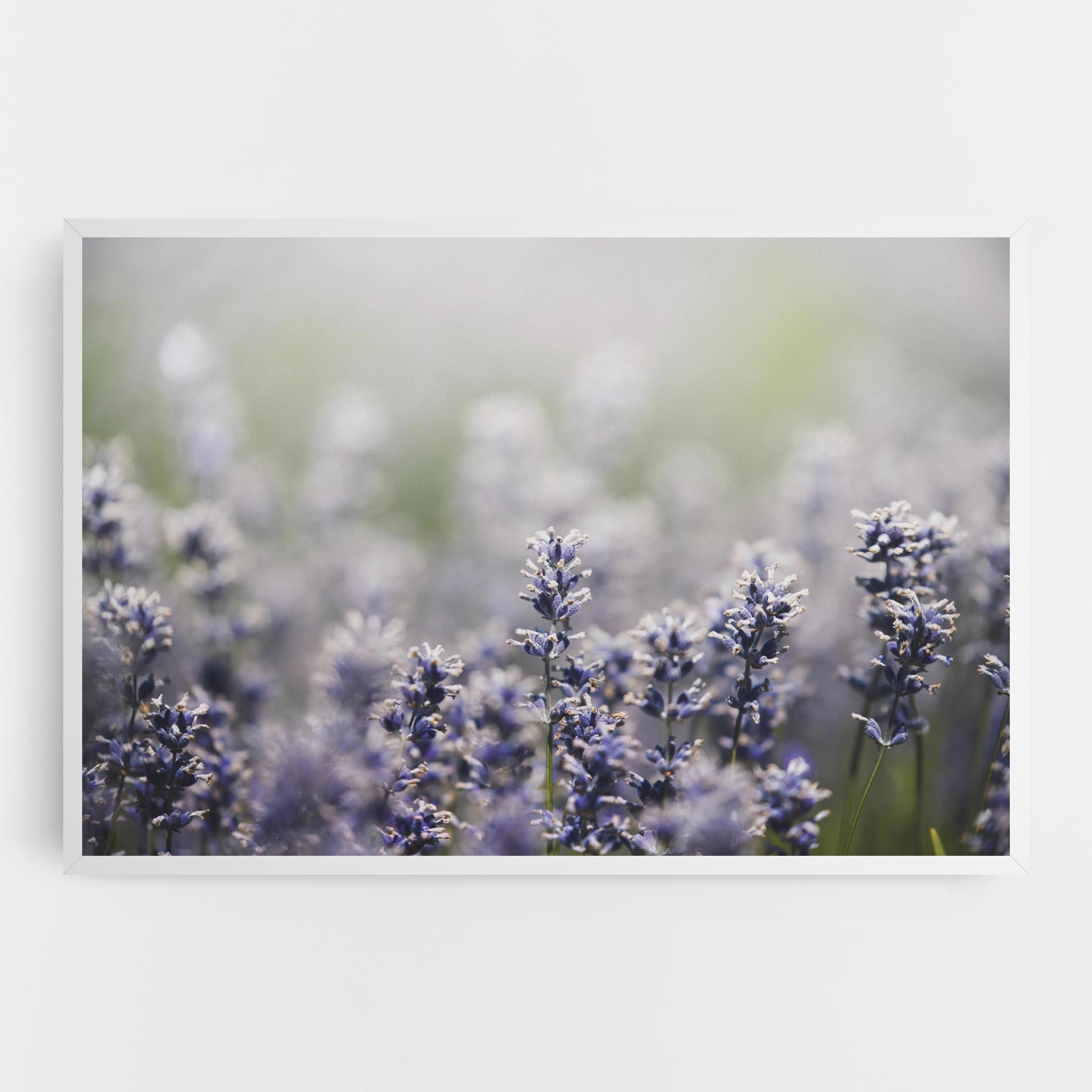 Tablou Canvas White Purple Wild mockup 0