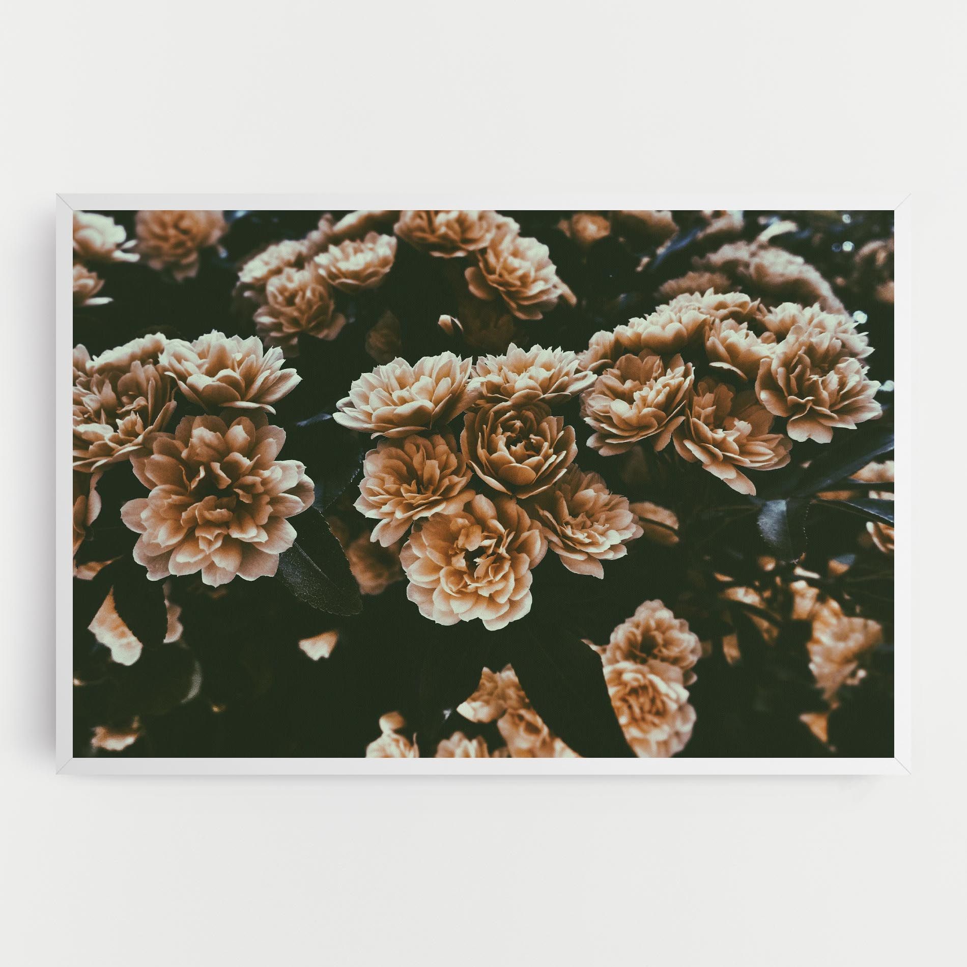 Wild Cream Flower mockup 0