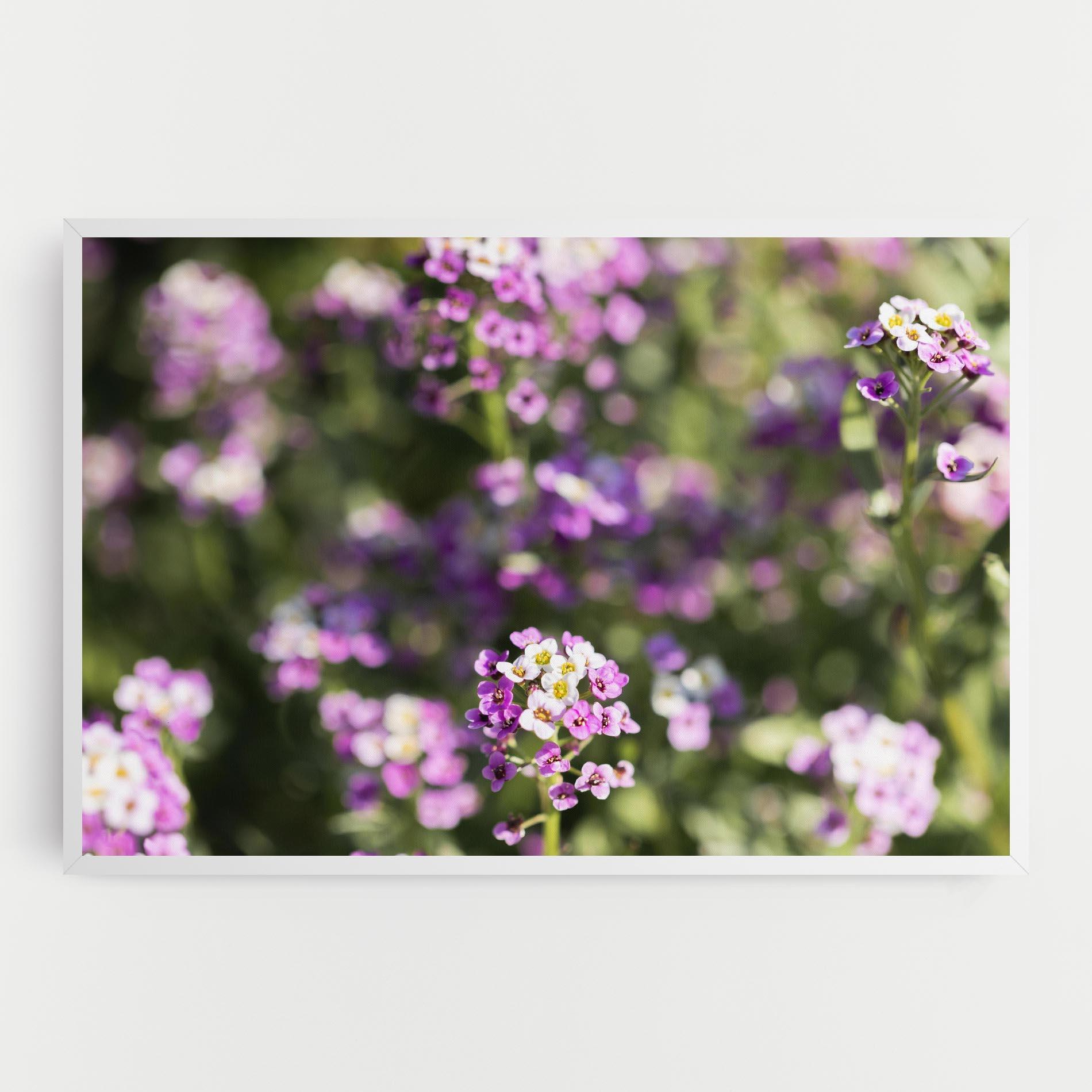 Tablou Canvas Wild Purple Field mockup 0