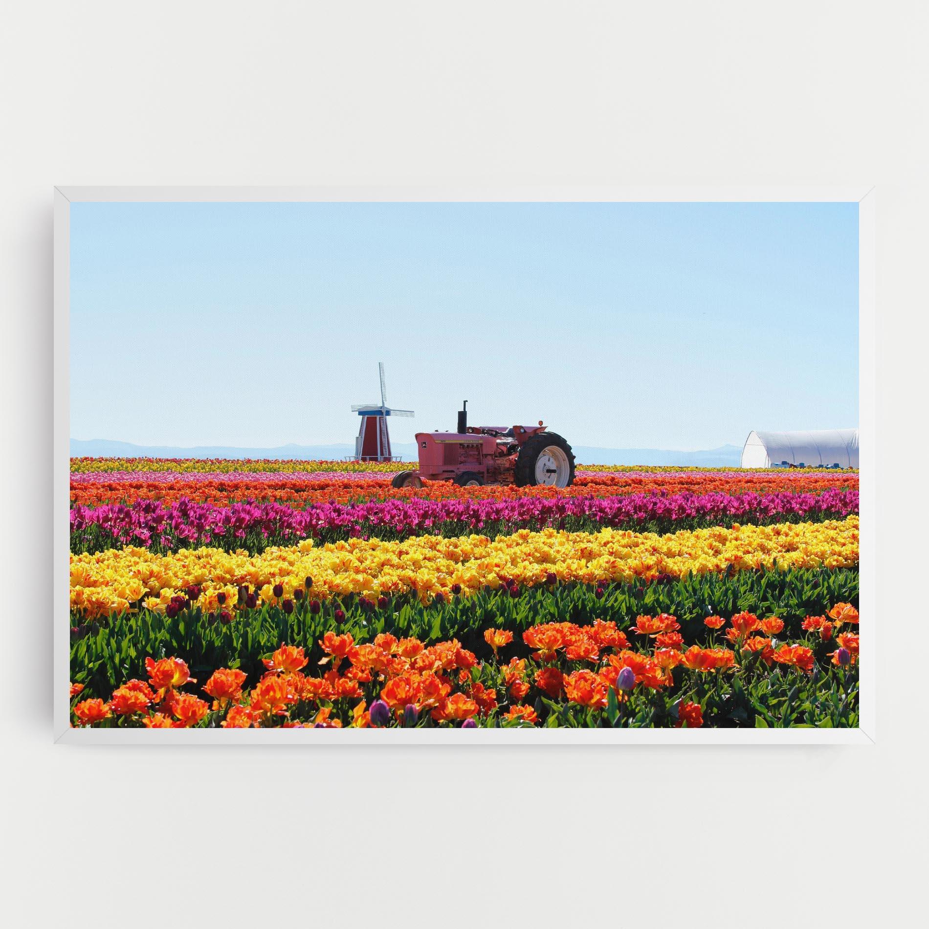 Tablou Canvas Working Wild Field mockup 0