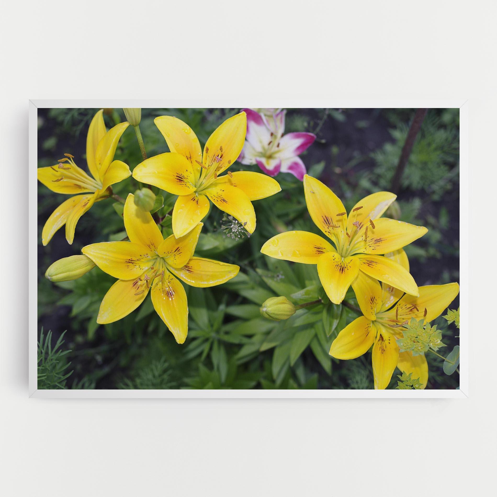 Tablou Canvas Yellow Flowers mockup 0